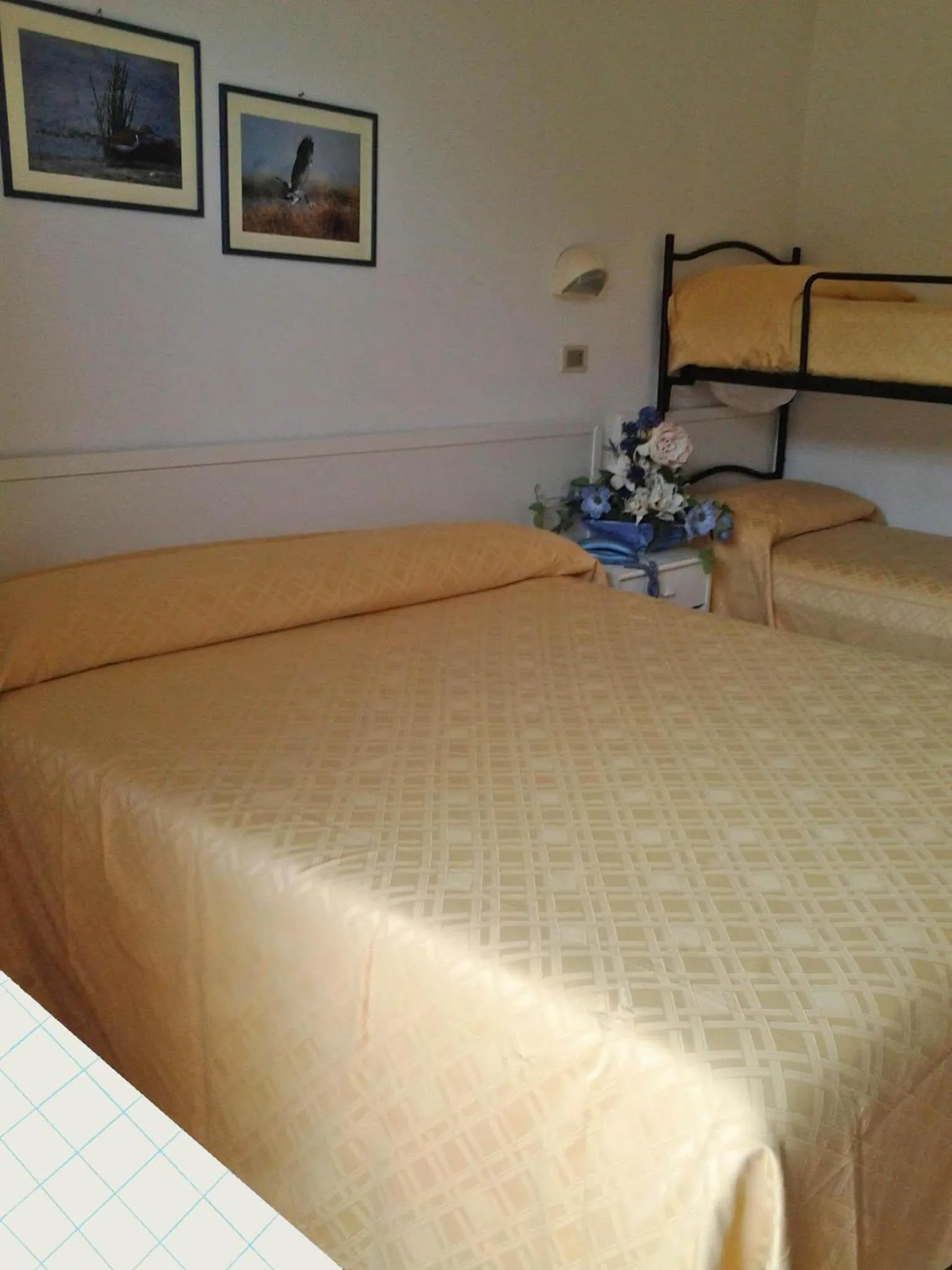 bunk bed in Hotel Suisse