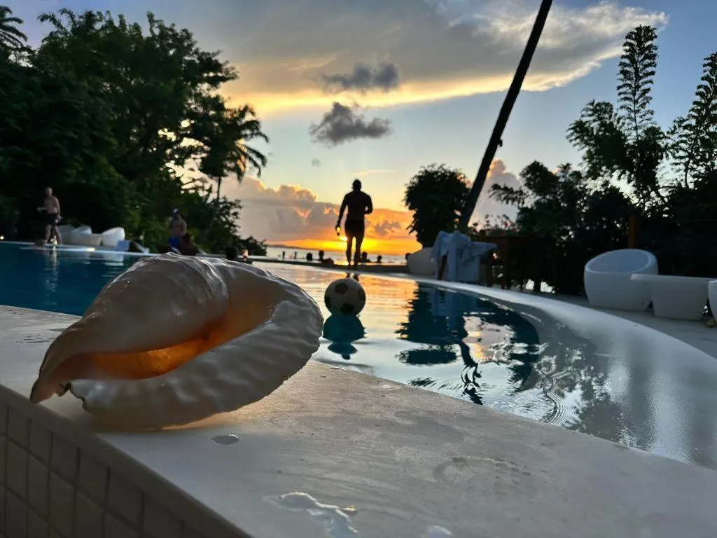 Swimming pool in Hotel Portaló