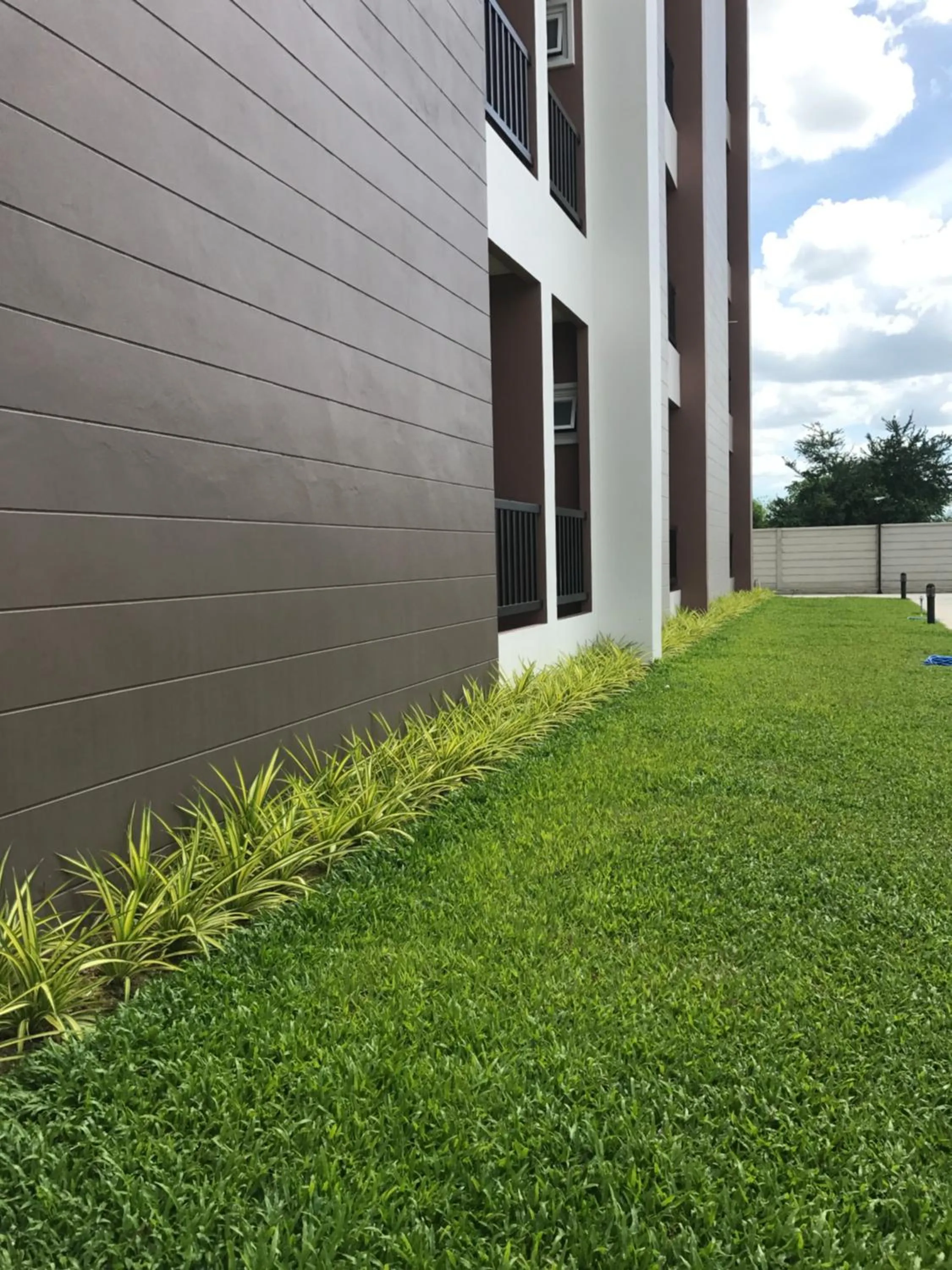 Garden in Baan Lamoon