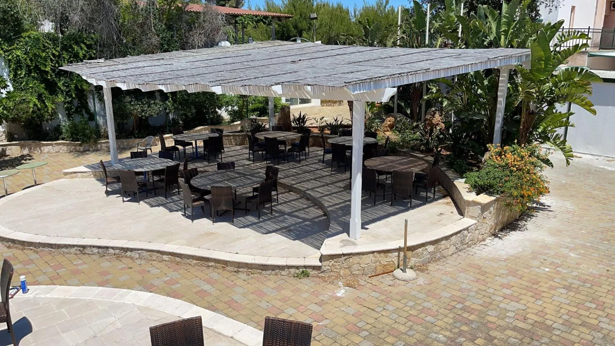 Gatto Bianco Casalabate