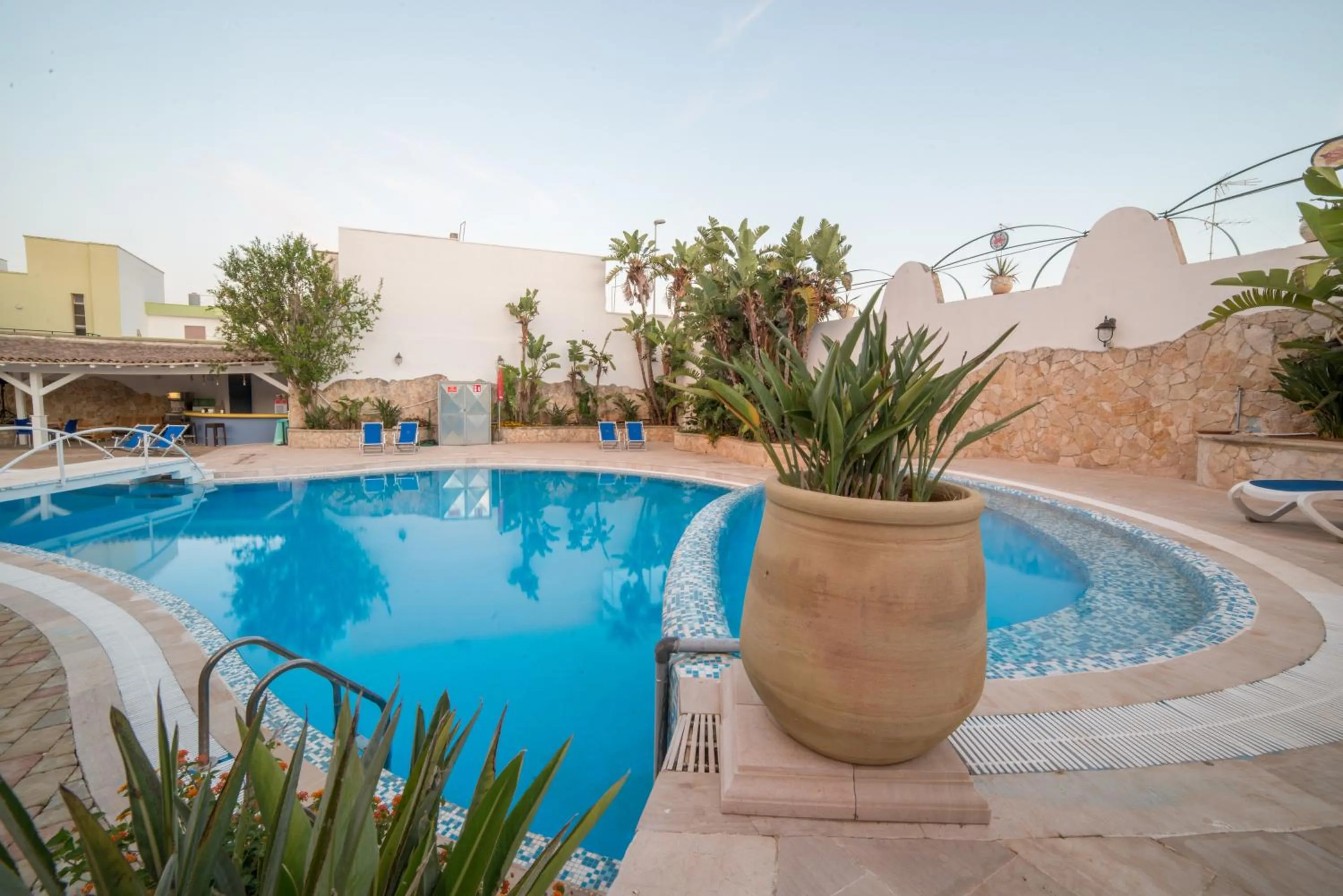 Gatto Bianco Casalabate