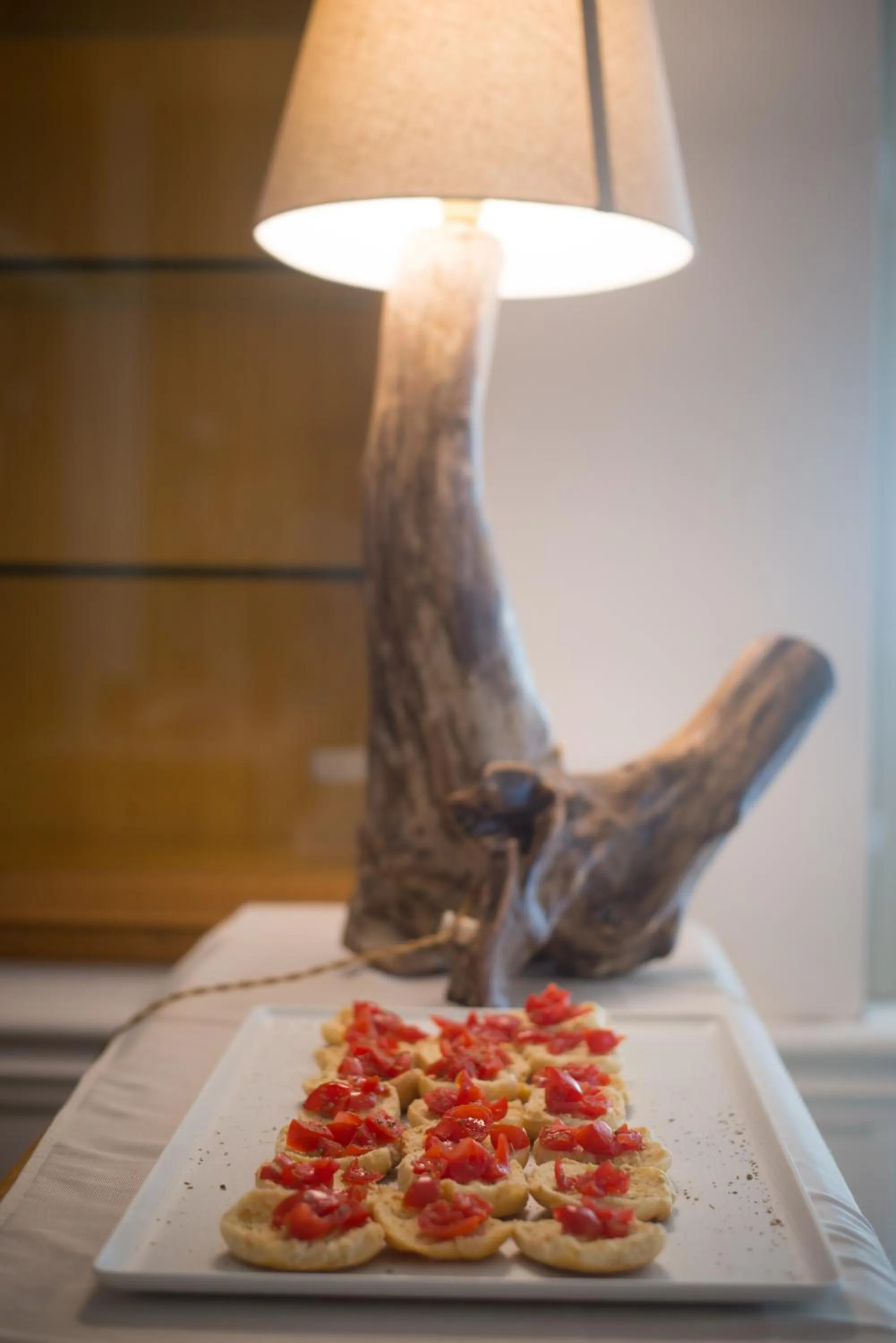 Gatto Bianco Casalabate