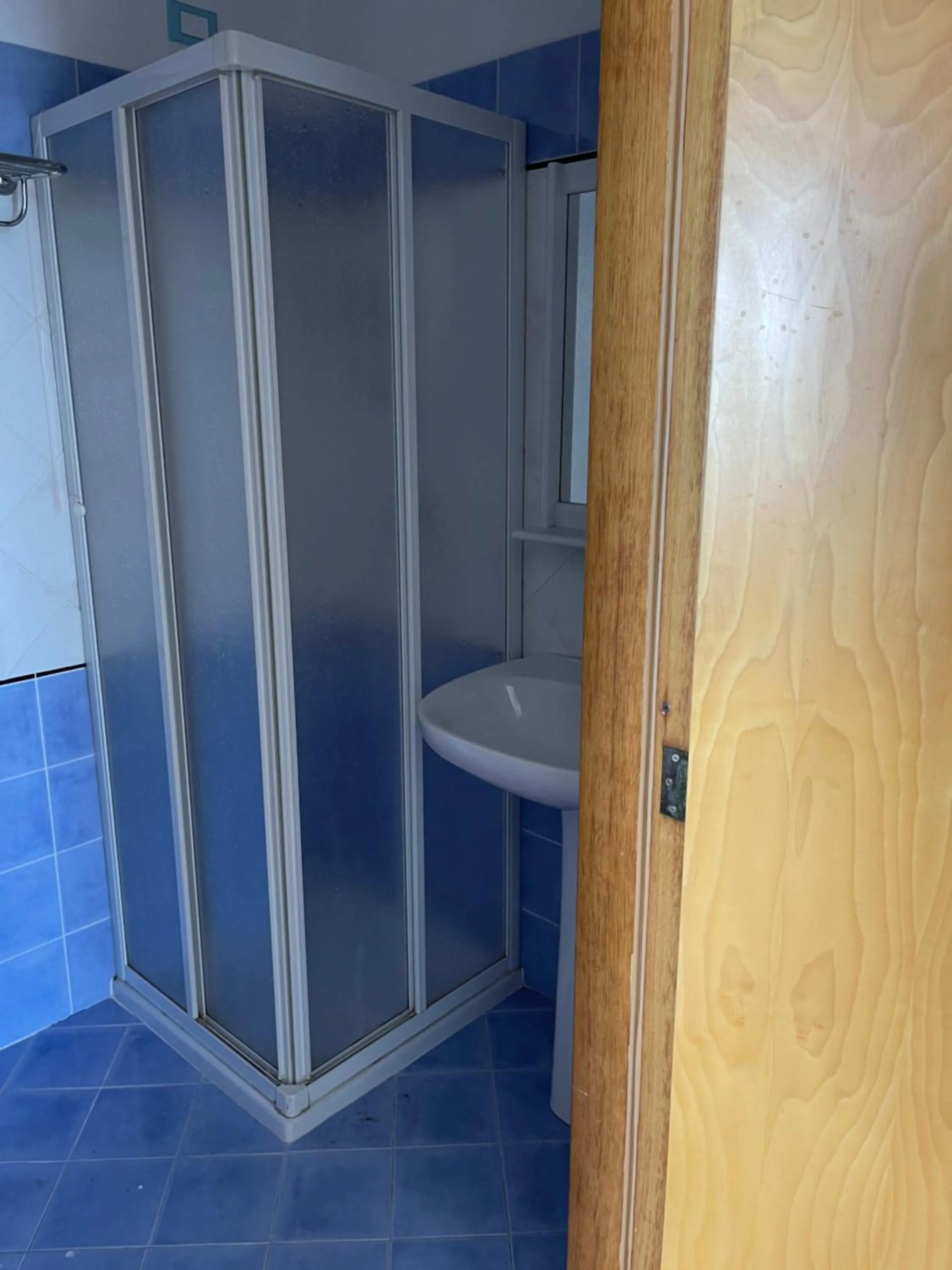 Gatto Bianco Casalabate