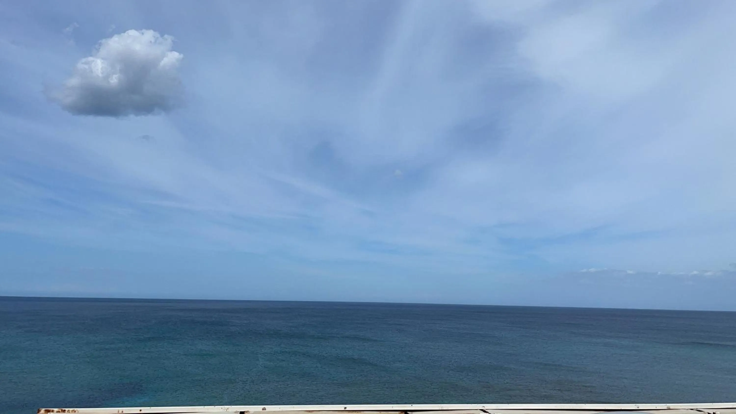 View (from property/room) in Gatto Bianco Casalabate