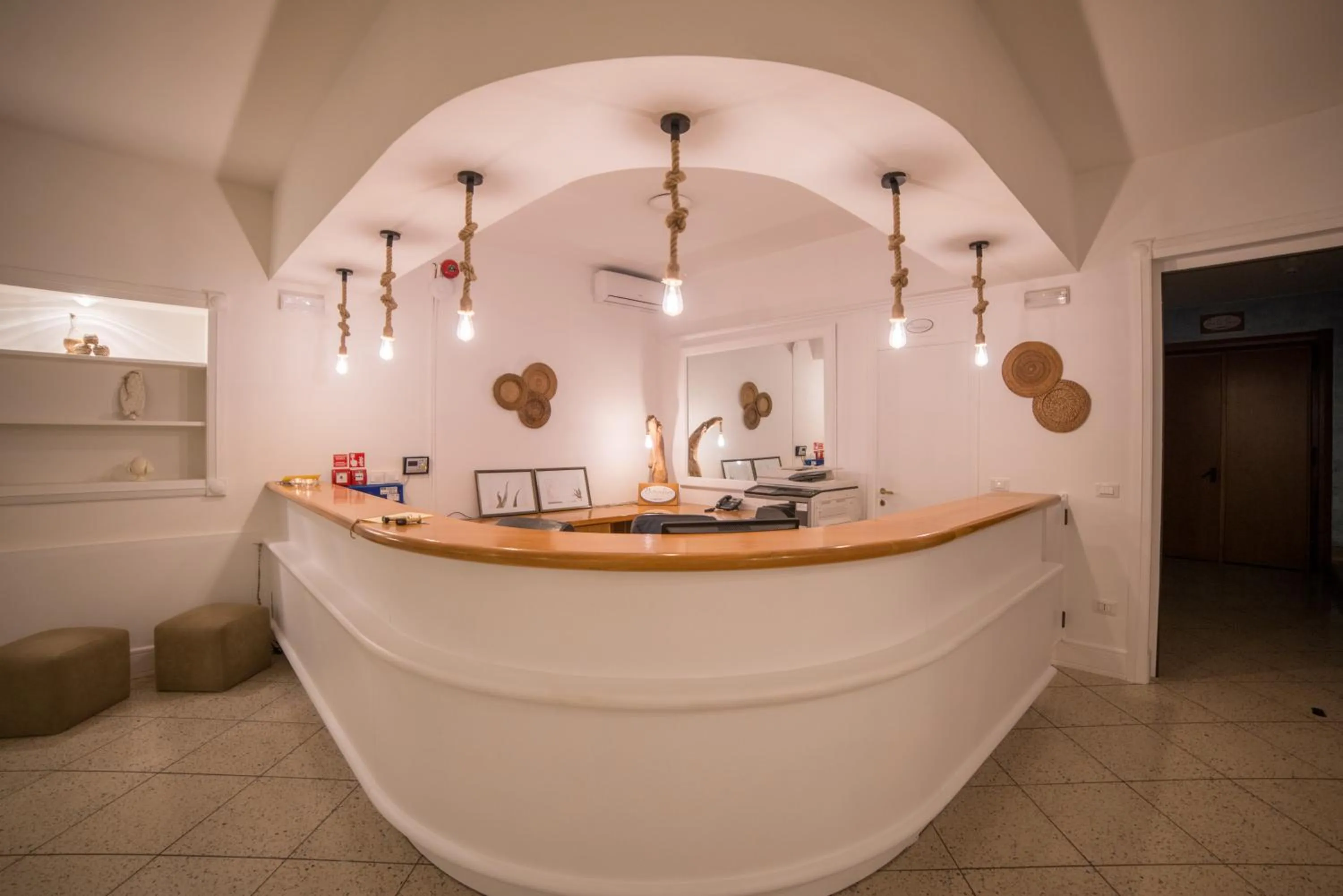 Gatto Bianco Casalabate