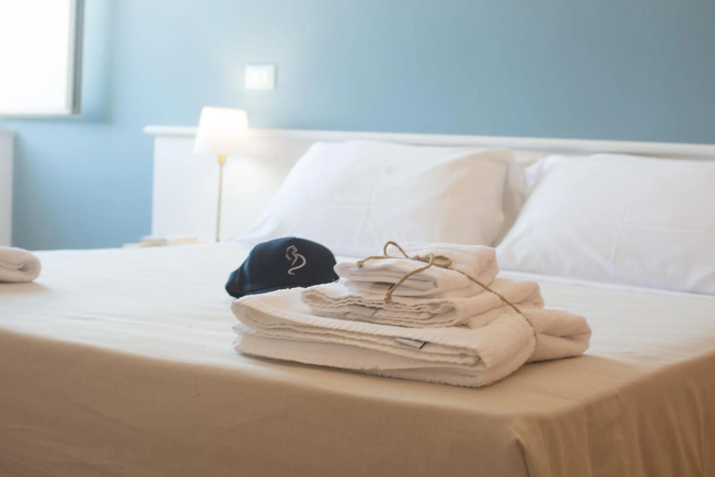 Gatto Bianco Casalabate