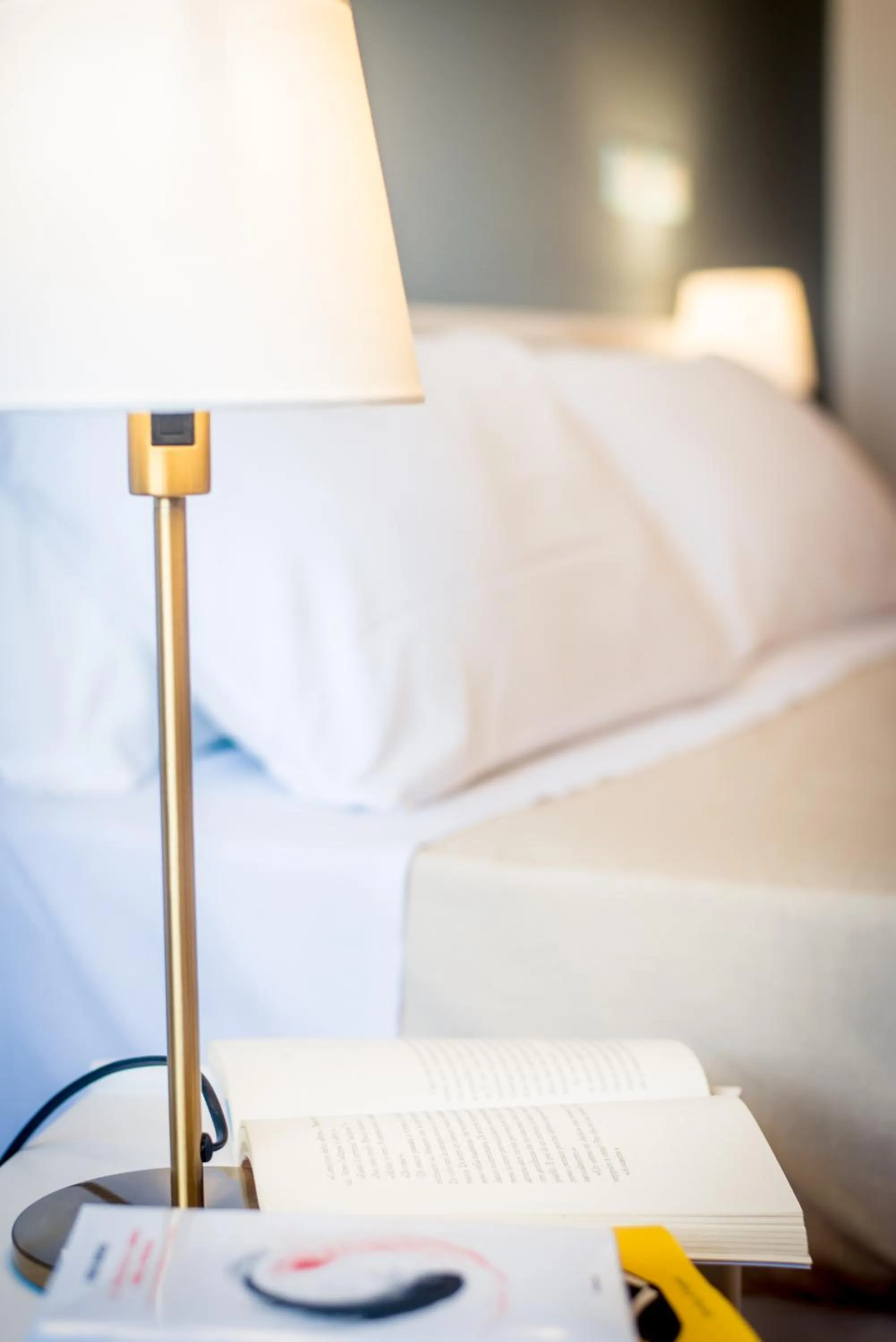 Gatto Bianco Casalabate