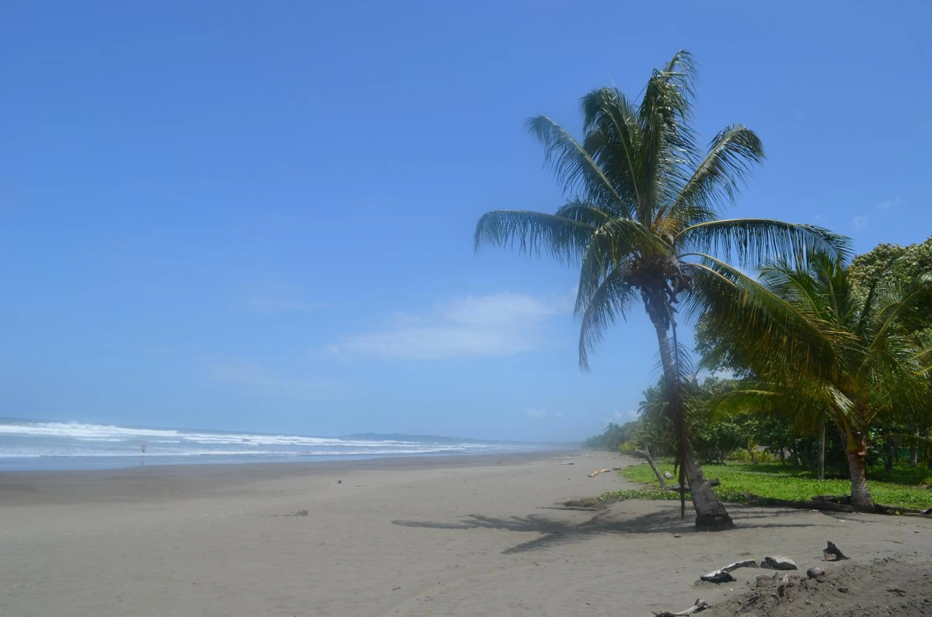 Beach in Palm Coast Luxury Rentals