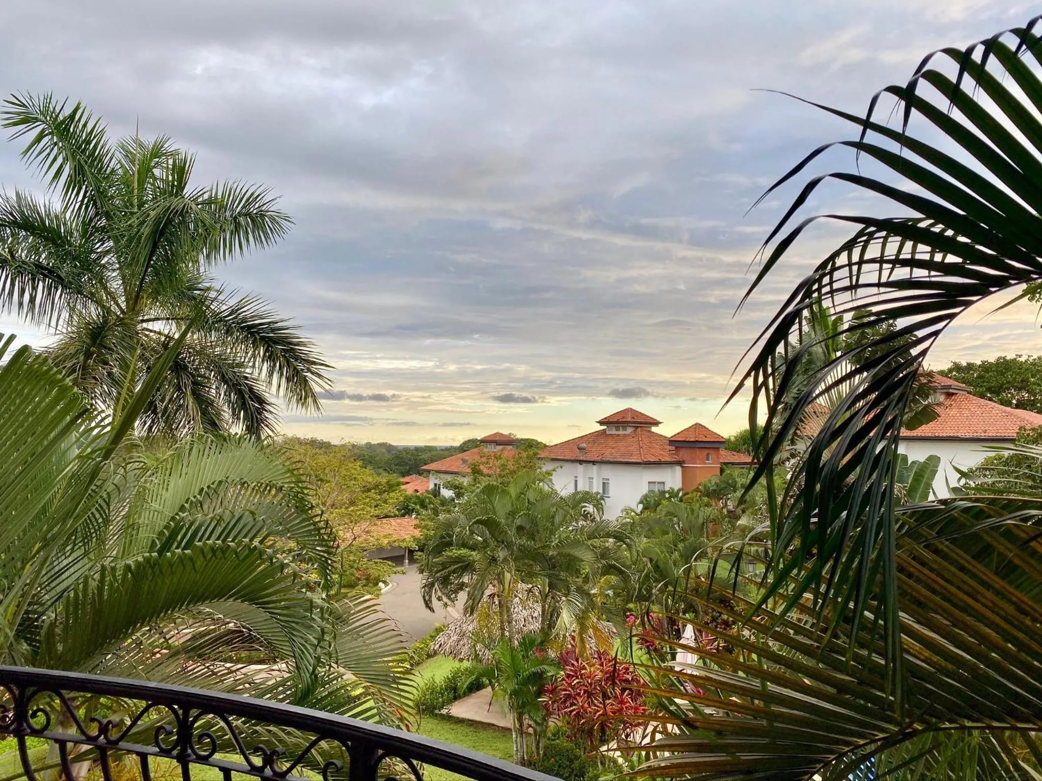 Palm Coast Luxury Rentals