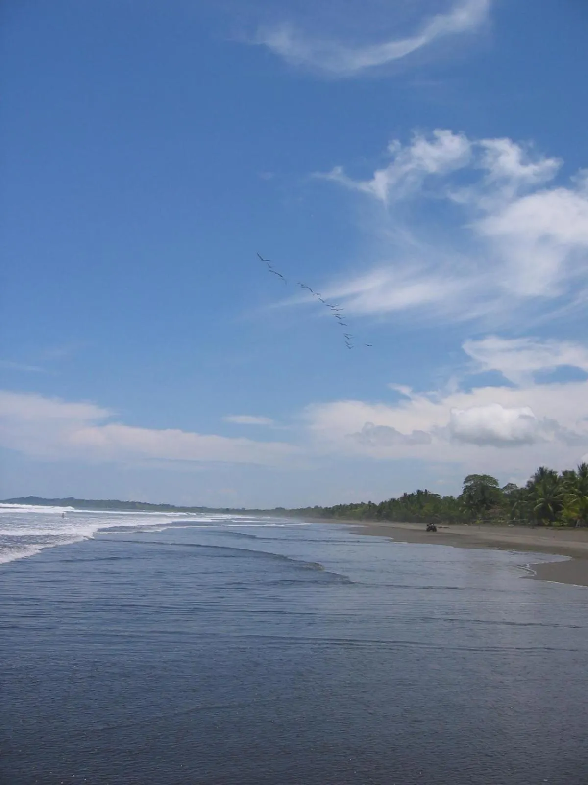 Palm Coast Luxury Rentals