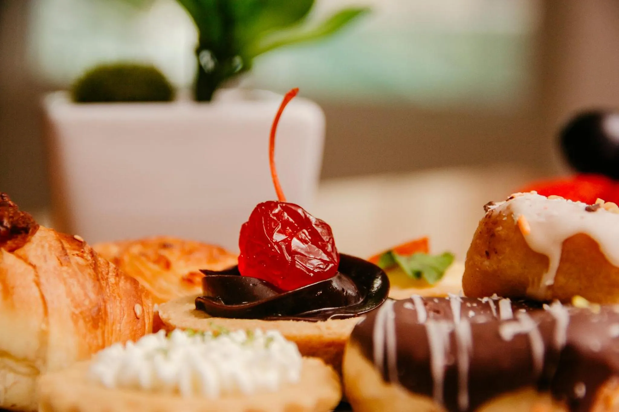 Food and drinks in Nord Easy Green Sunset