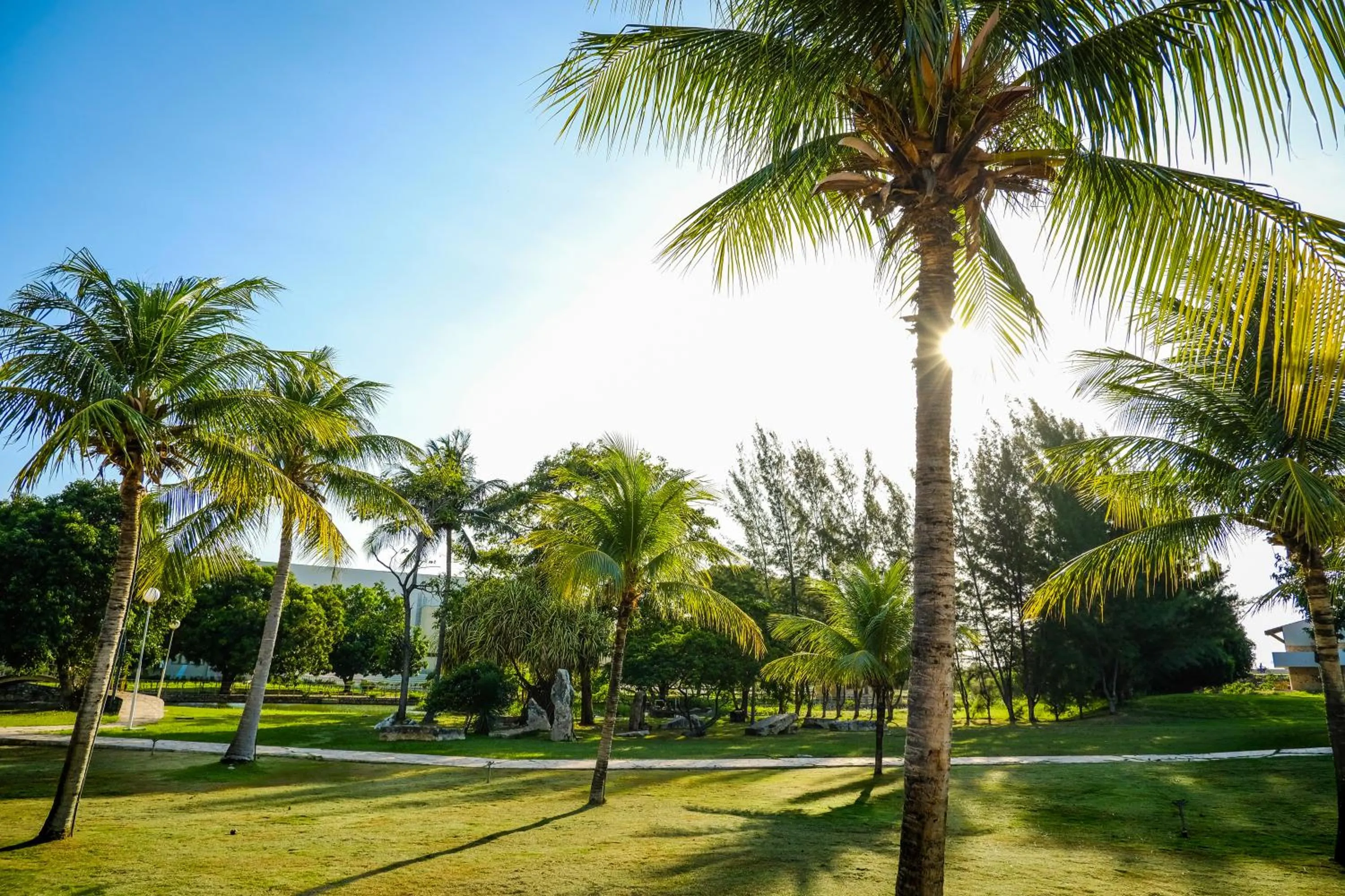 Thermas Hotel Mossoró