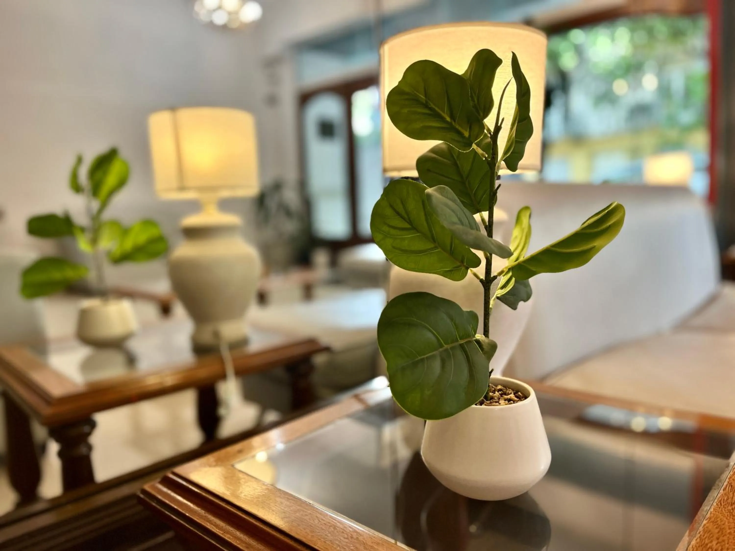 Lobby or reception in Alpino Hotel