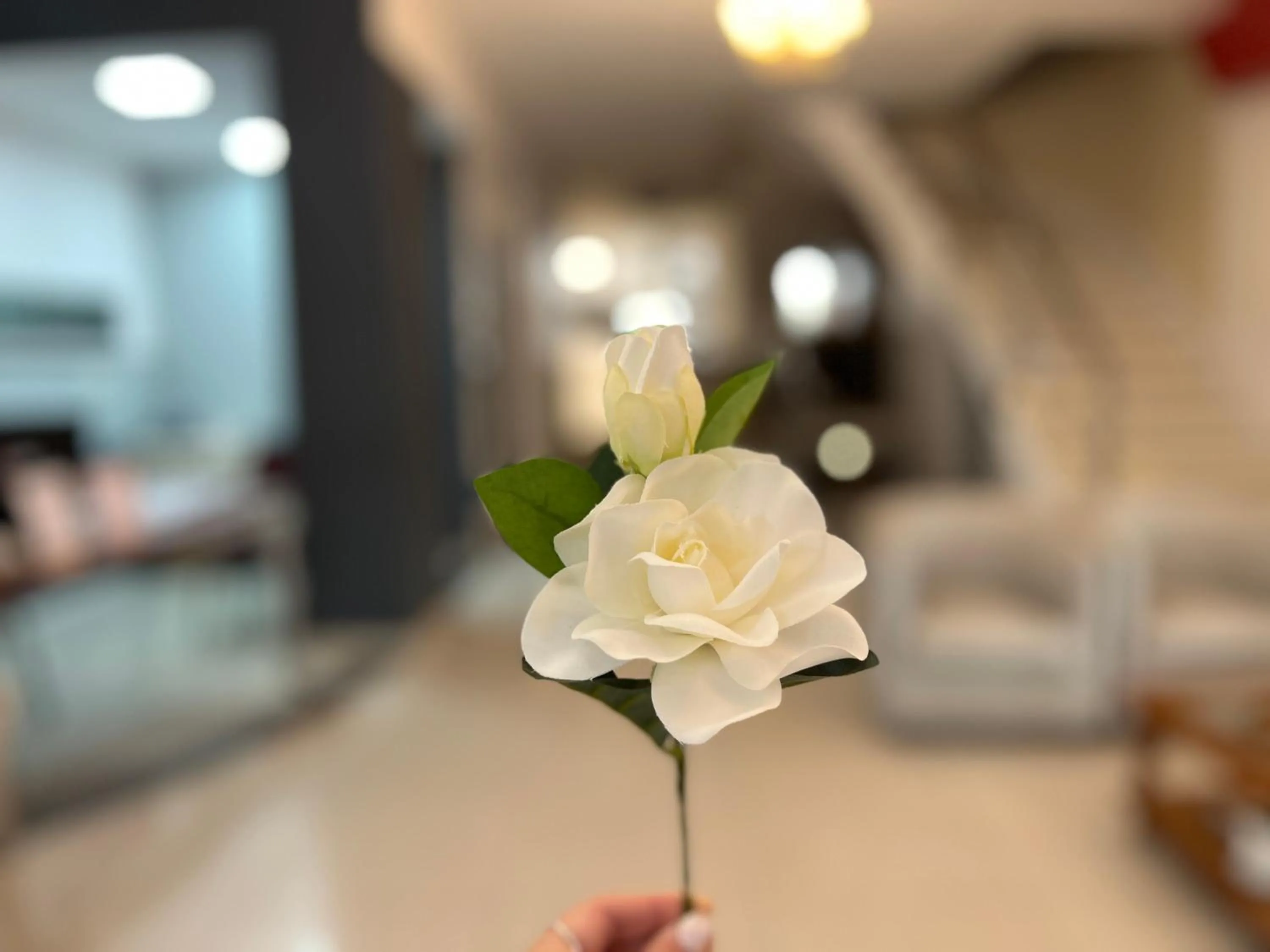 Lobby or reception in Alpino Hotel