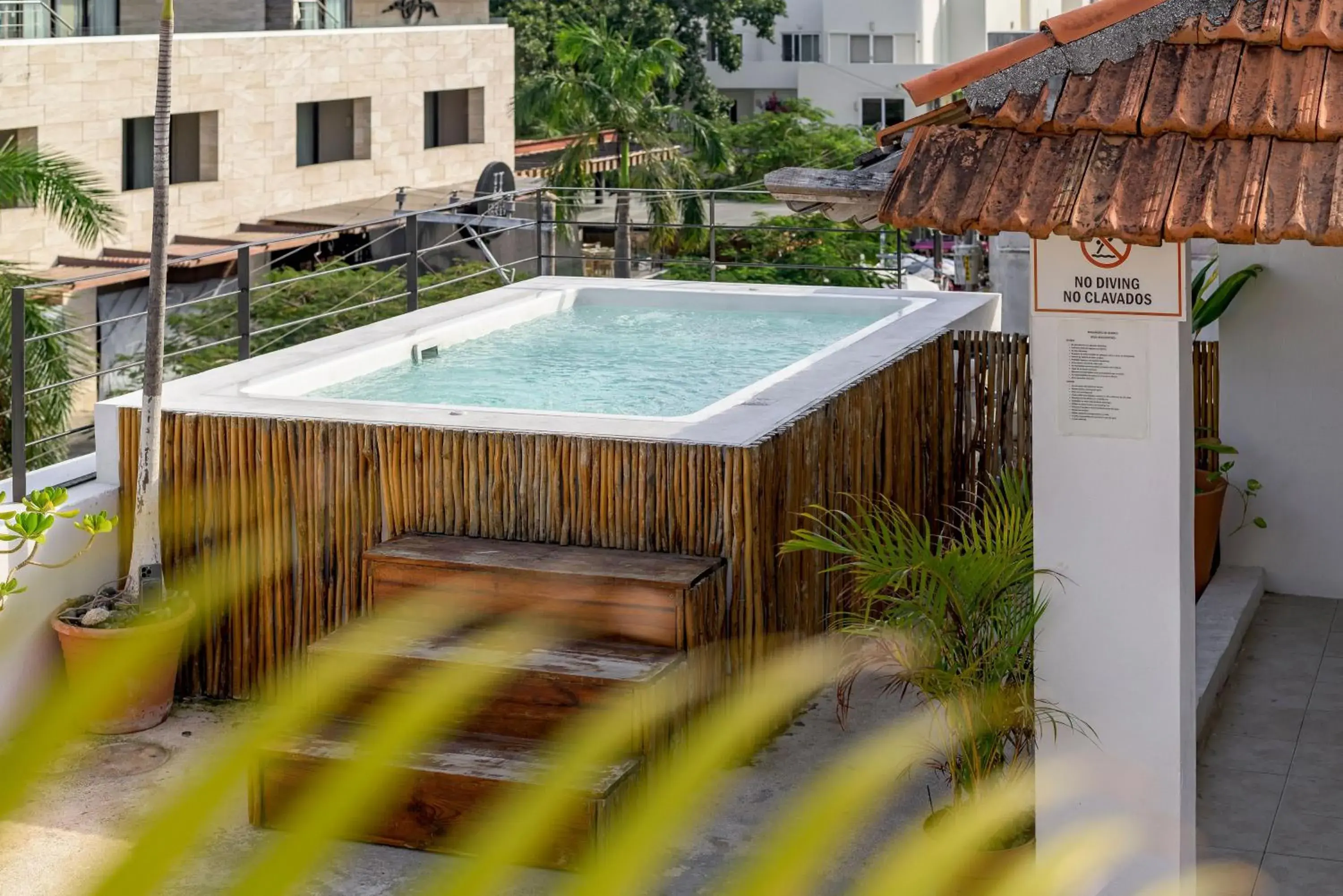 Deluxe Double or Twin Room in Hotel Banana Boutique & Spa - 5th Av Playa del Carmen Deluxe Double or Twin Room in Hotel Banana Boutique & Spa - 5th Av Playa del Carmen