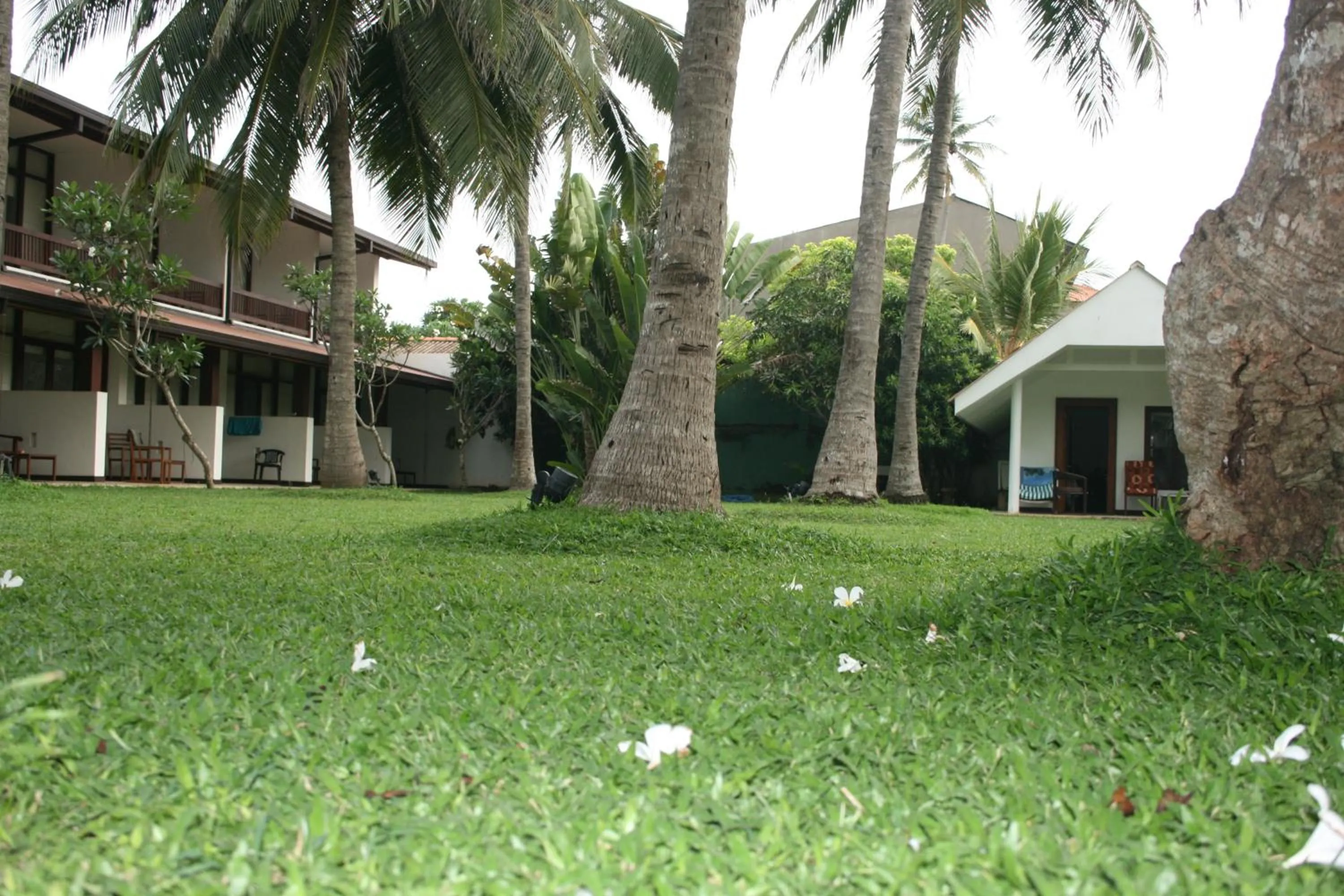 Garden in Goldi Sands Hotel