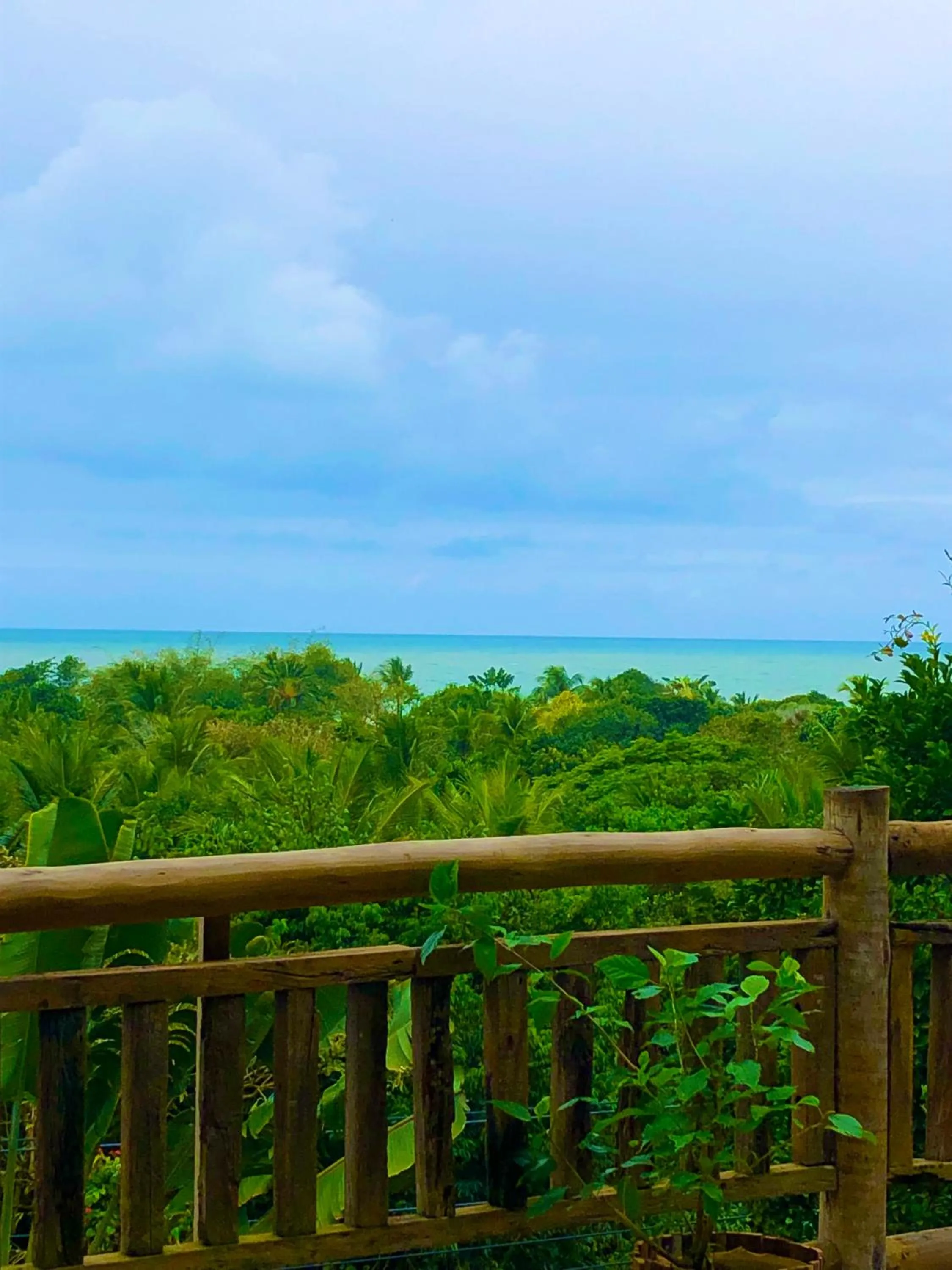 View (from property/room) in Eliza, Bangalô vista mar em Trancoso