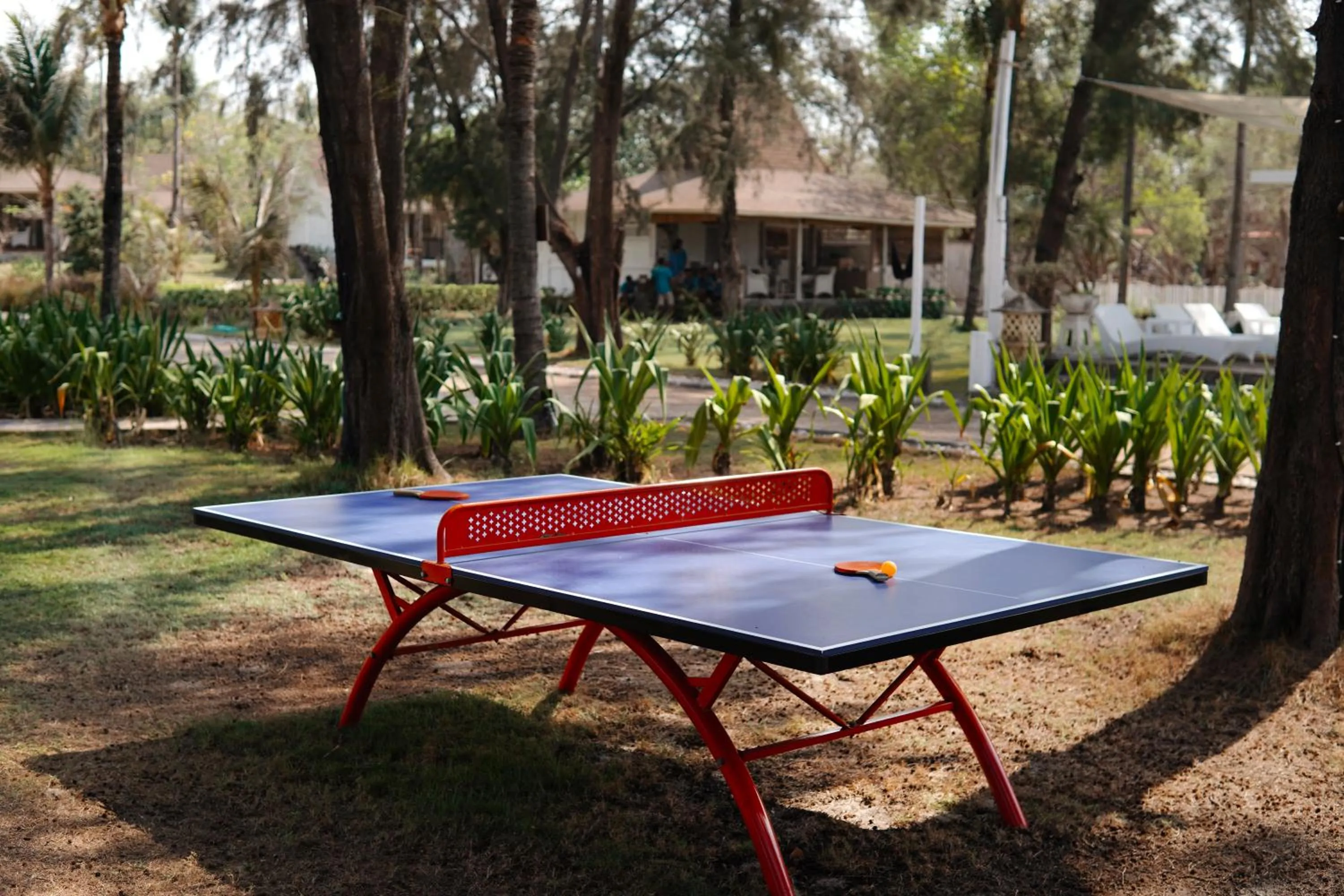 Table tennis in Gili Eco Villas