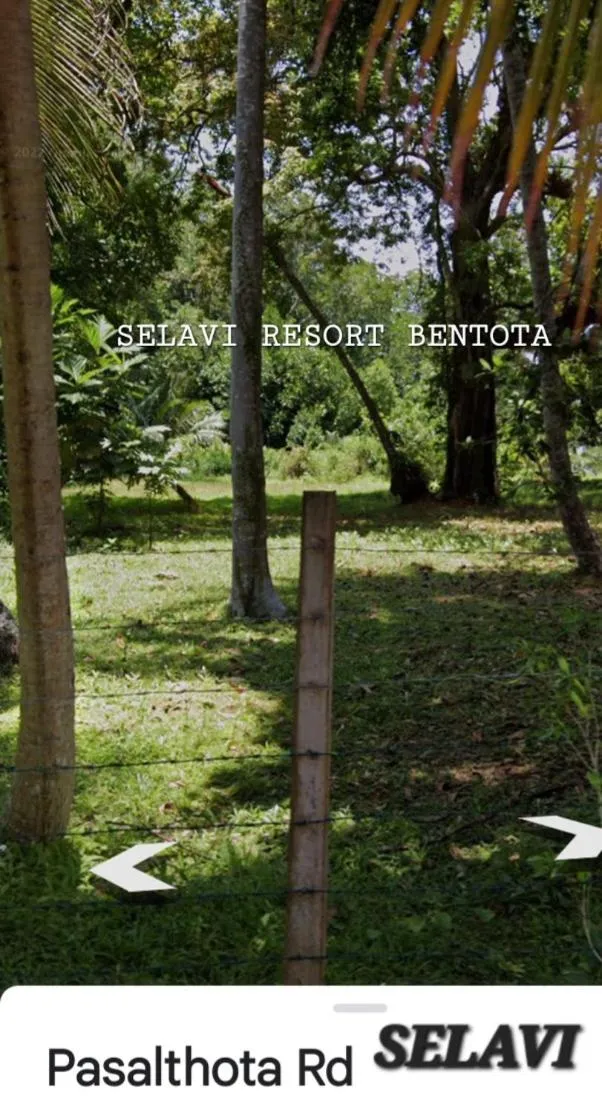 Selavi Resort Bentota