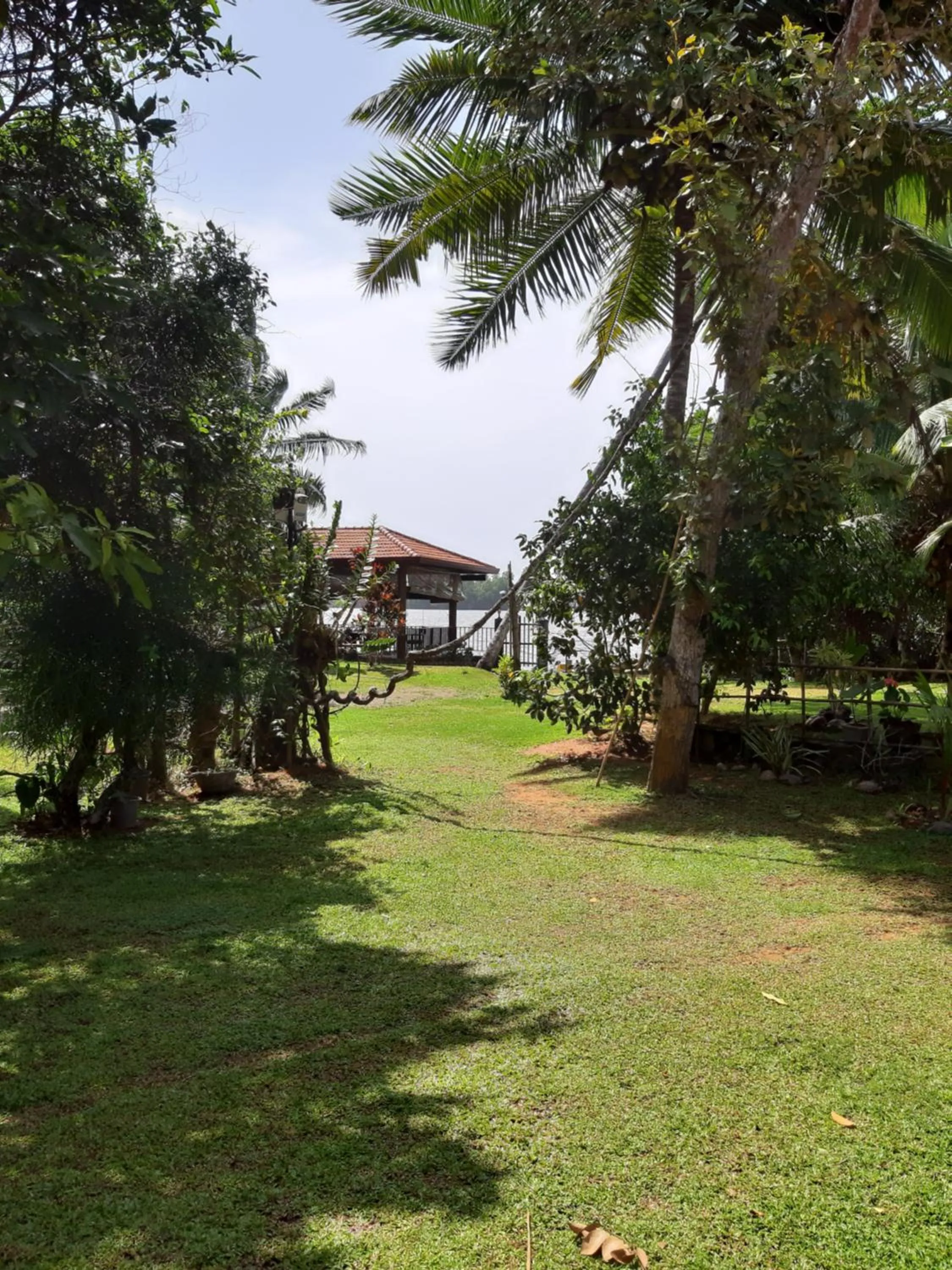 Garden in Selavi Resort Bentota