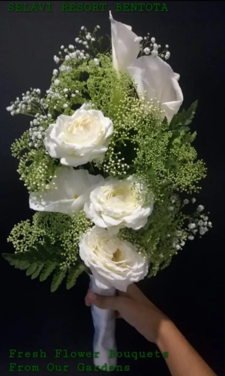 Selavi Resort Bentota