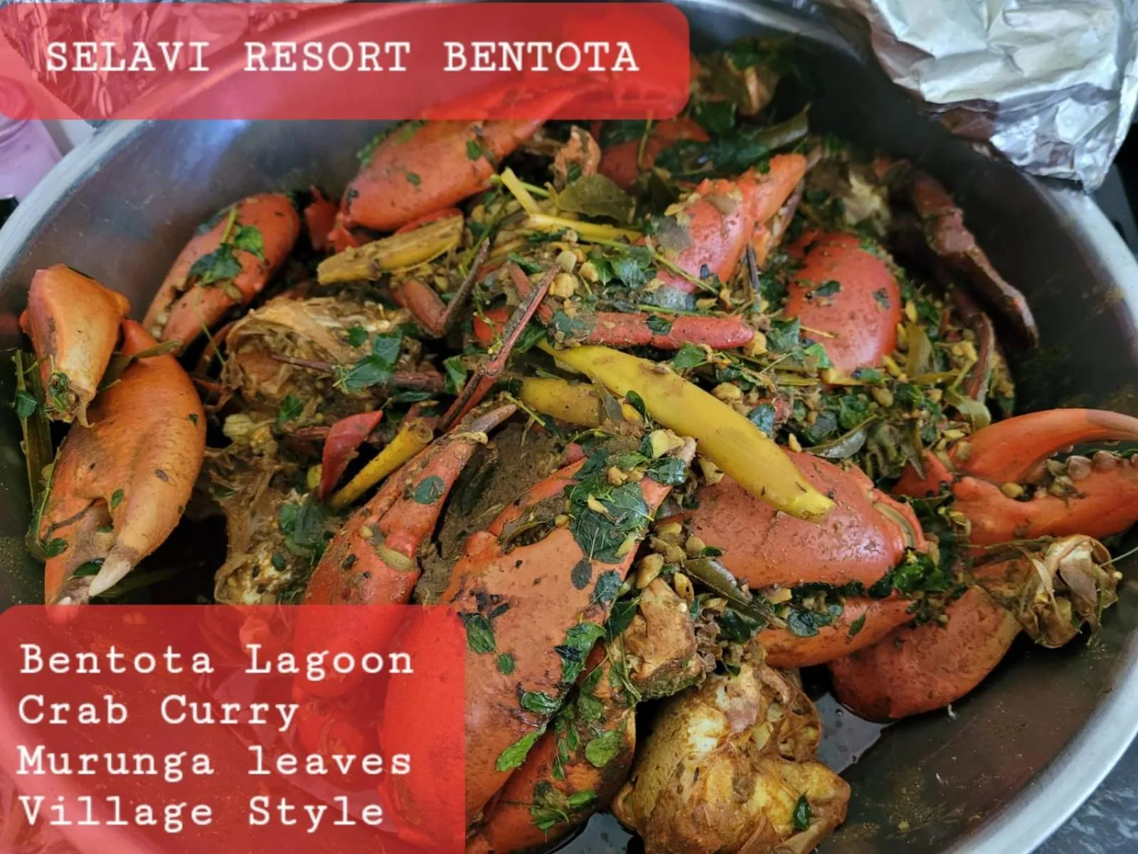 Selavi Resort Bentota