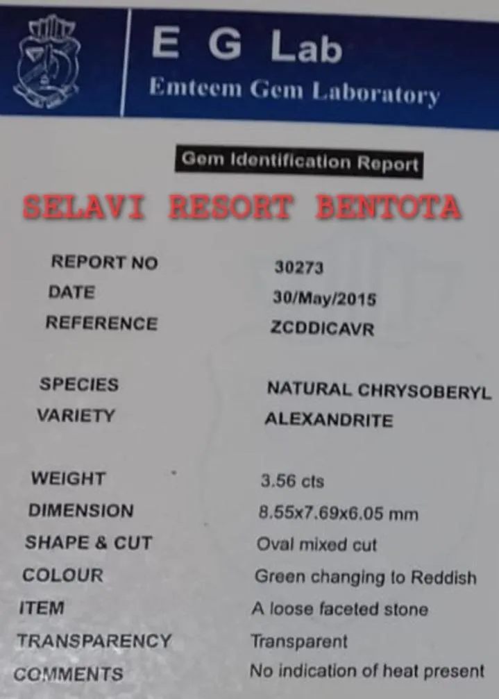 Selavi Resort Bentota