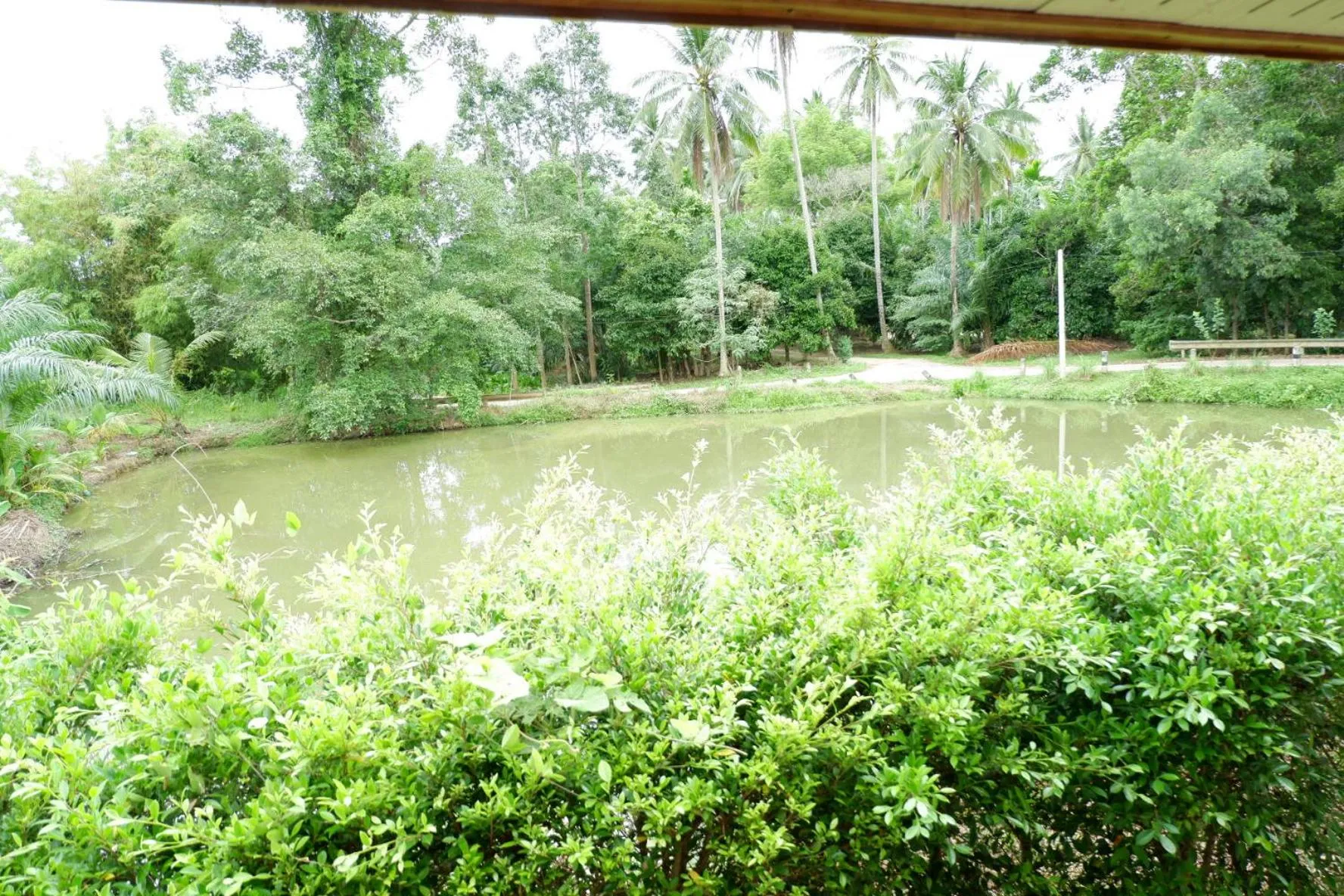 River view in Jarawee Resort