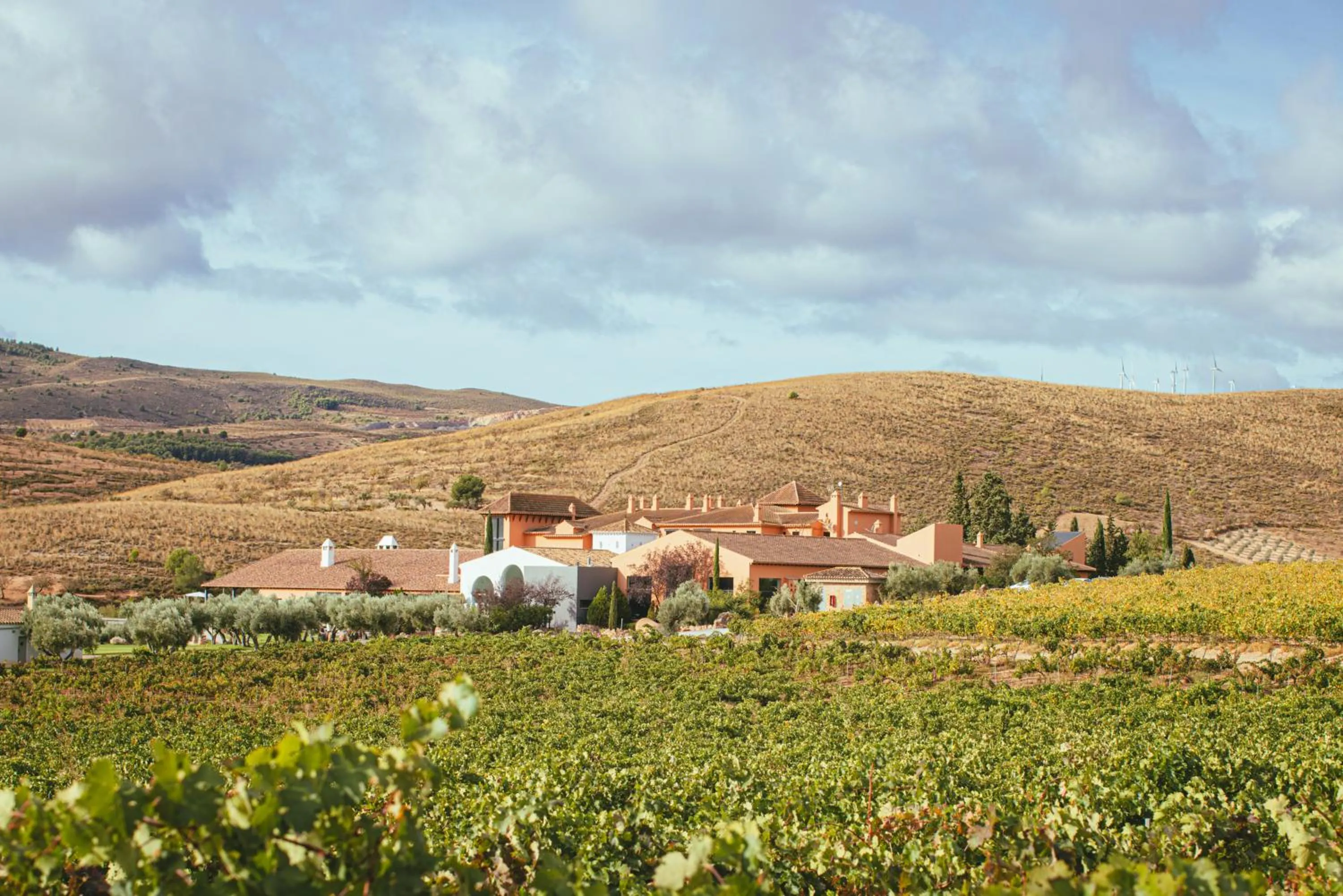 Property building in Hotel & Winery Señorío de Nevada