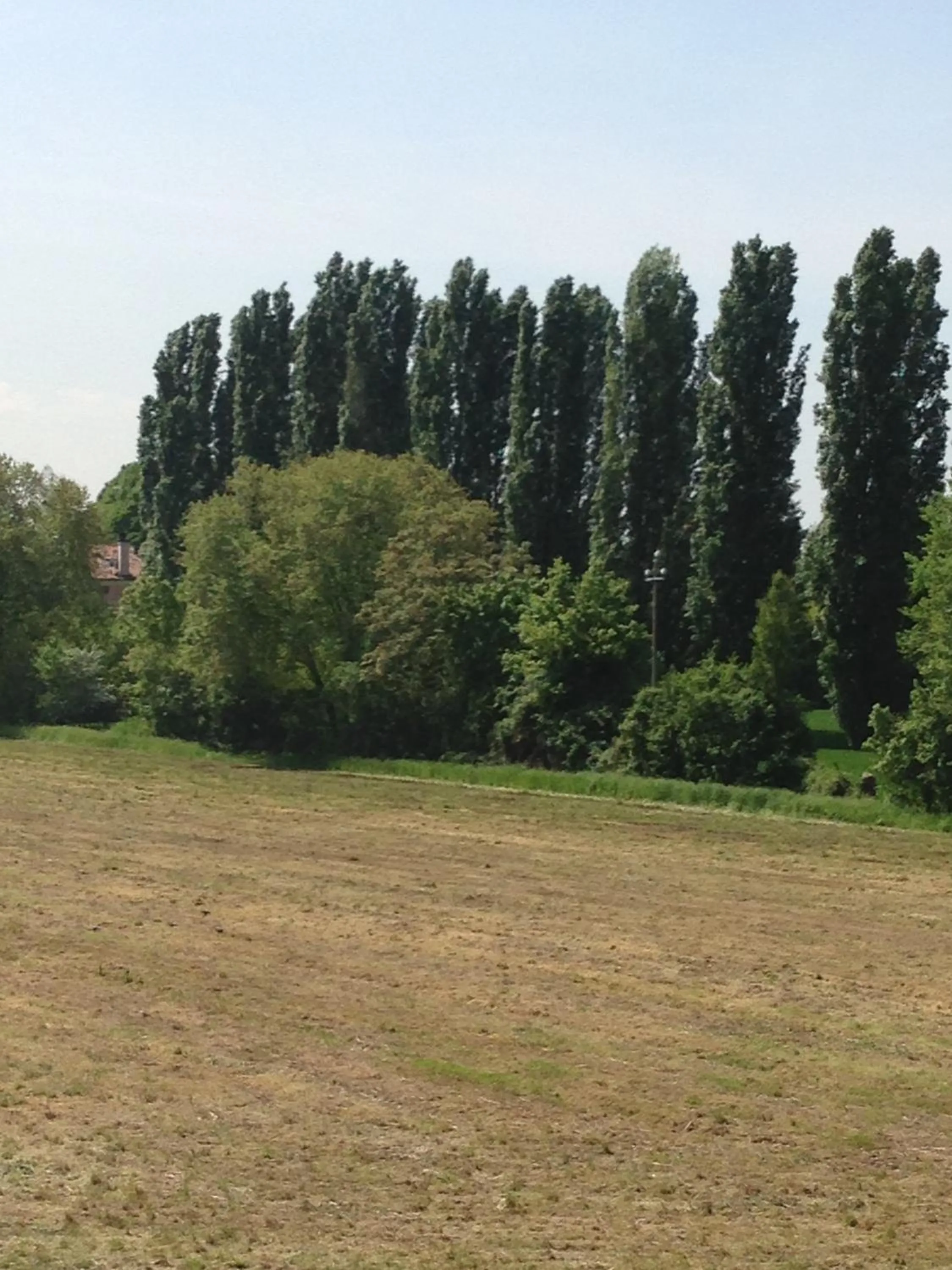 Decorative detail in B&B Daniel