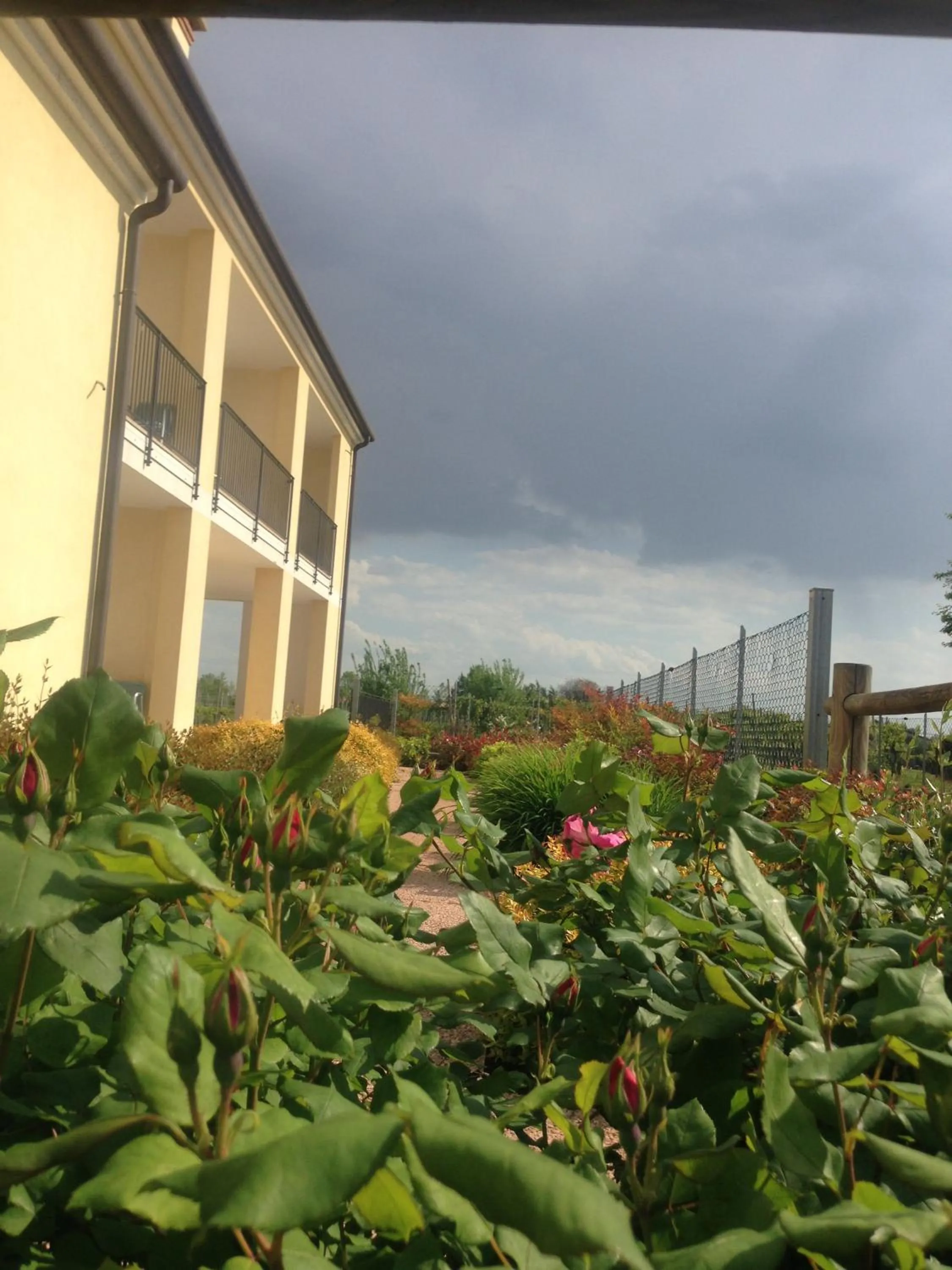 Property building in B&B Daniel