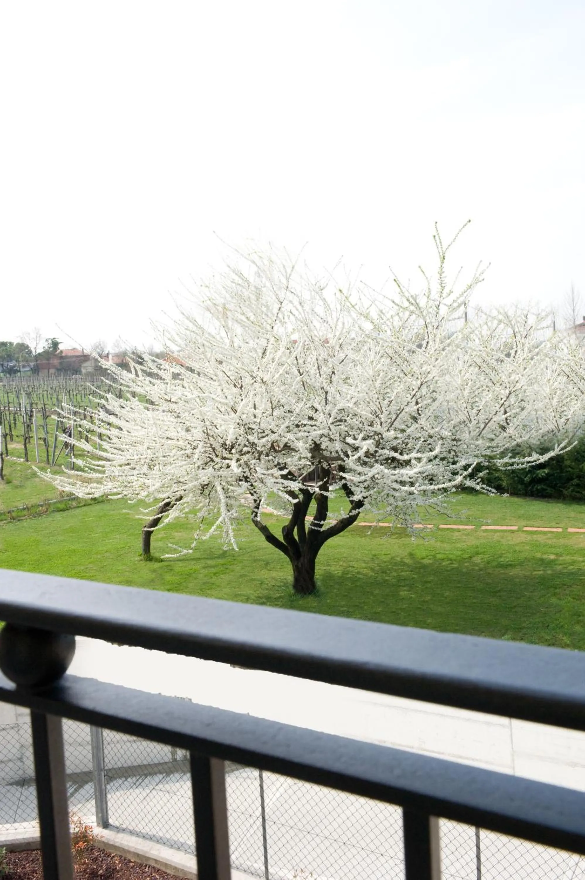 Decorative detail in B&B Daniel