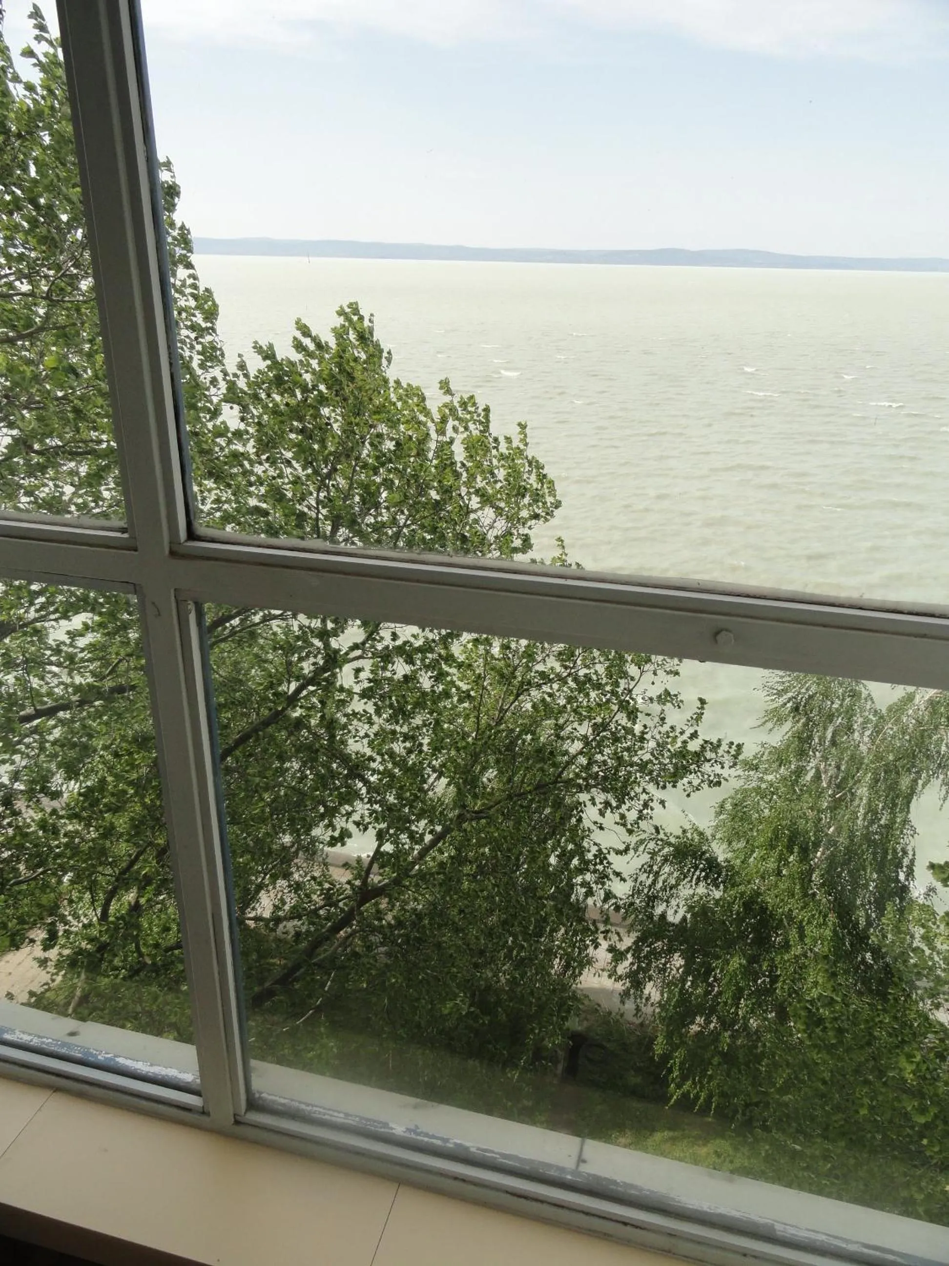 View (from property/room) in Hotel Lido