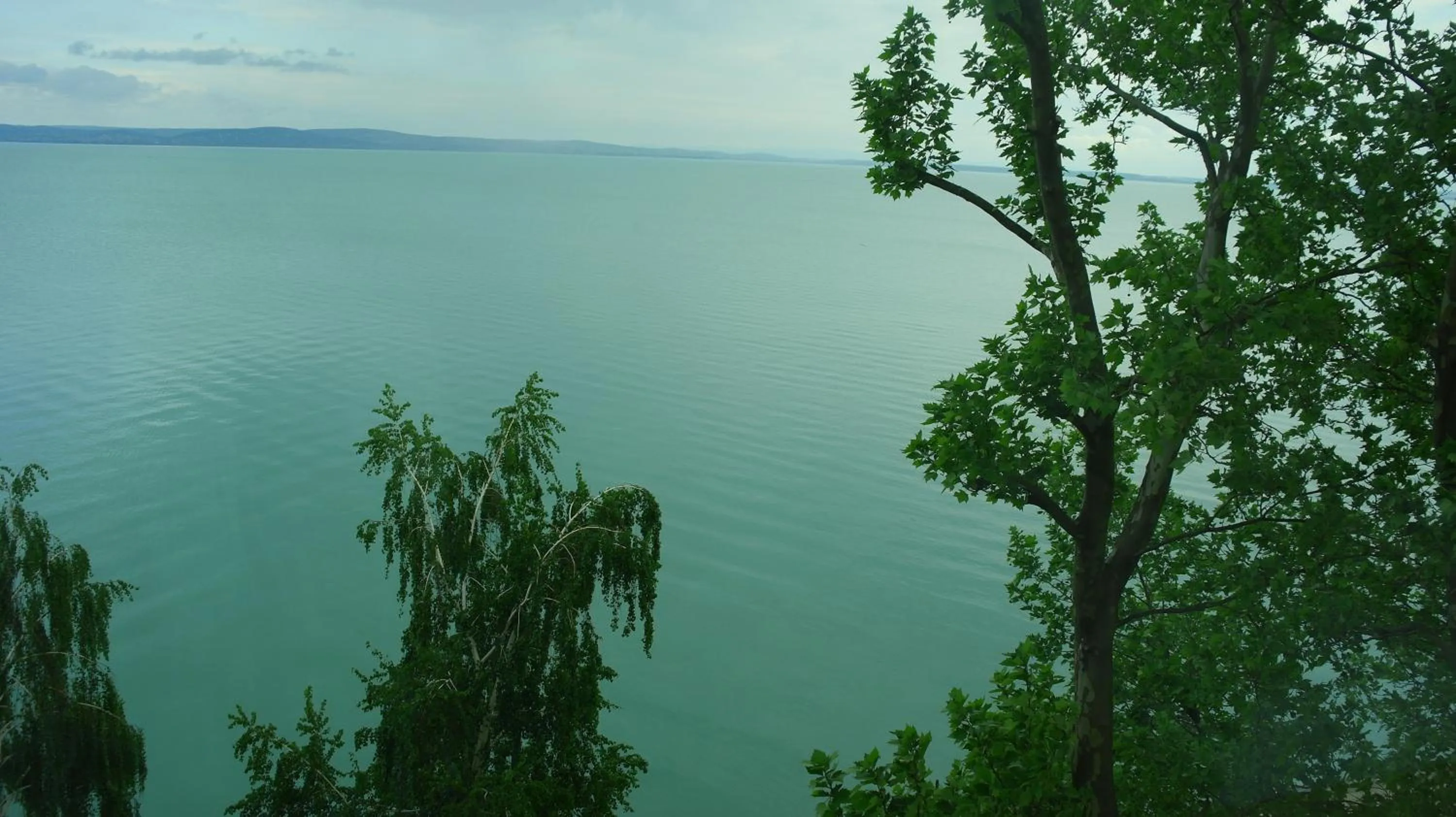 View (from property/room) in Hotel Lido