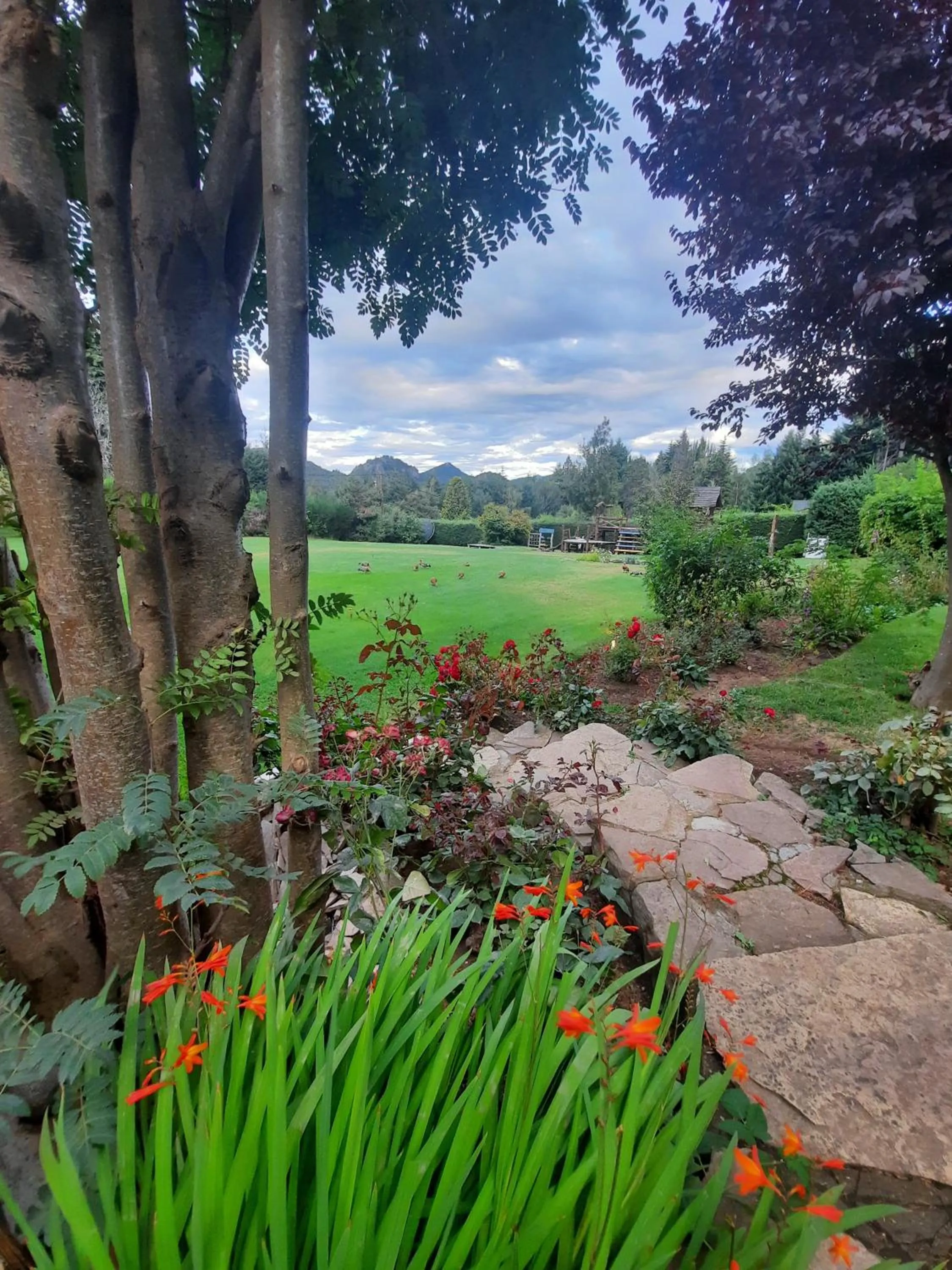 Garden view in Le Bouquet Apart Hotel