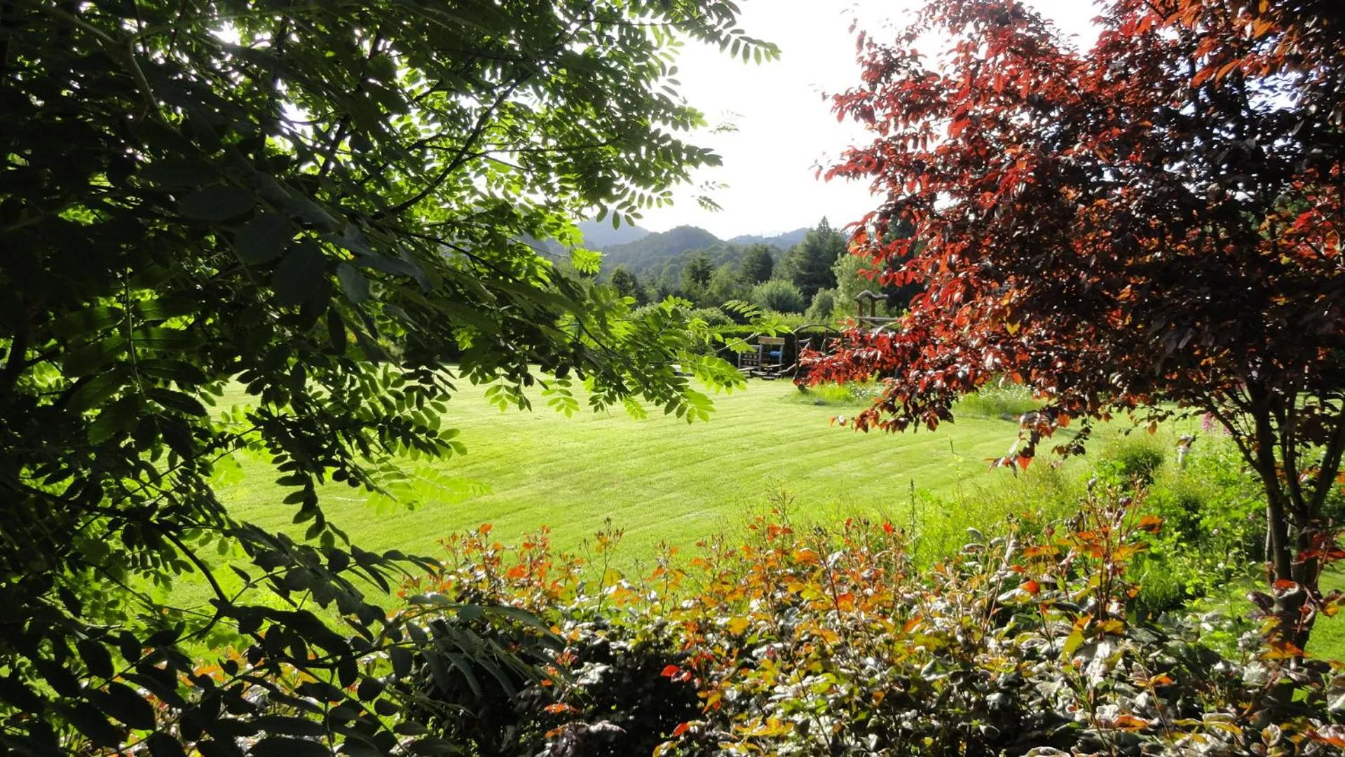 Garden in Le Bouquet Apart Hotel
