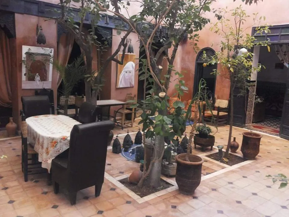 Garden view in Riad Sidi Omar