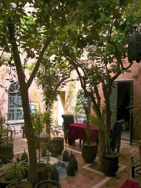 Garden view in Riad Sidi Omar