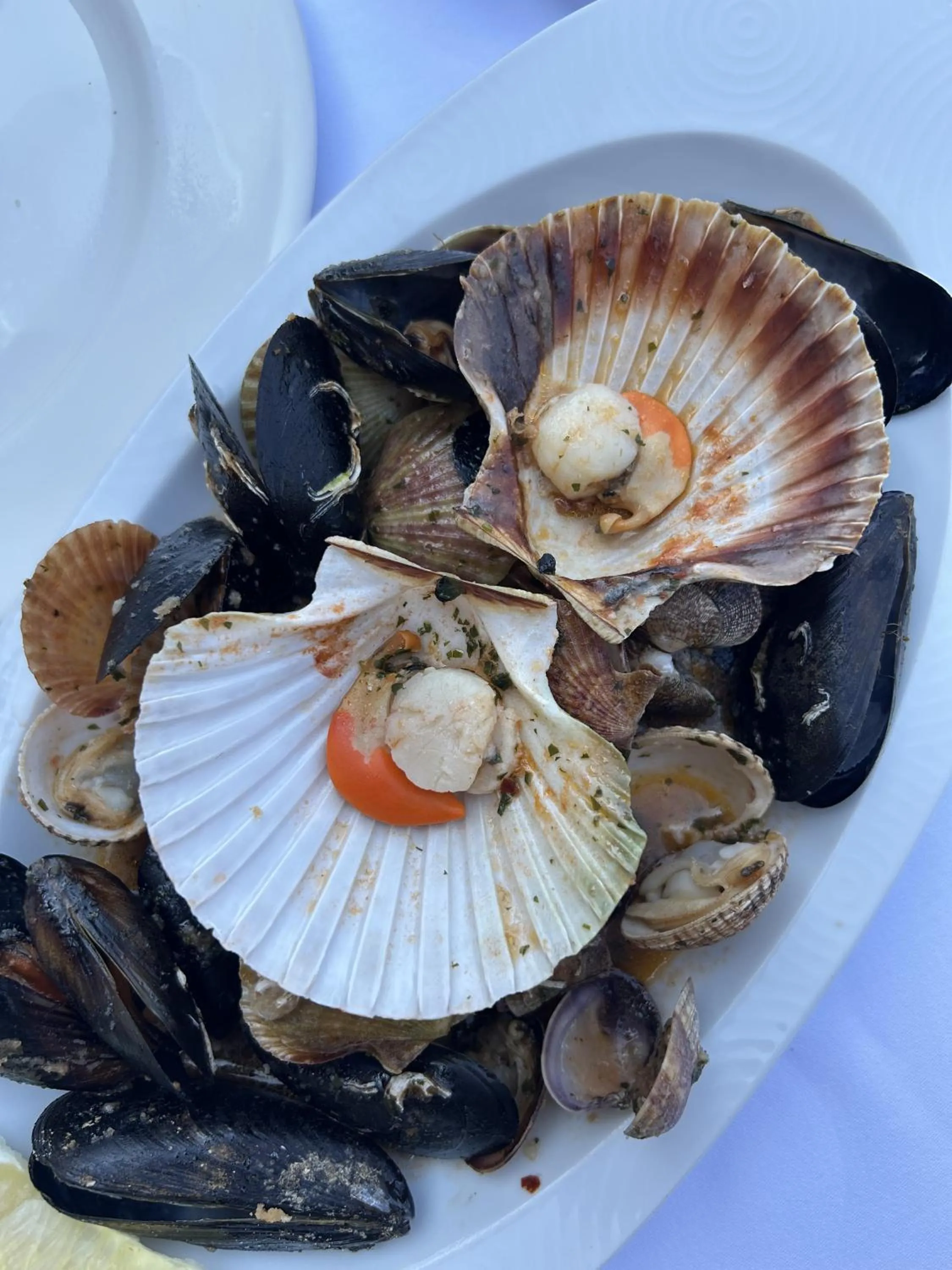 Restaurant/places to eat in Hotel Zlatna Vala