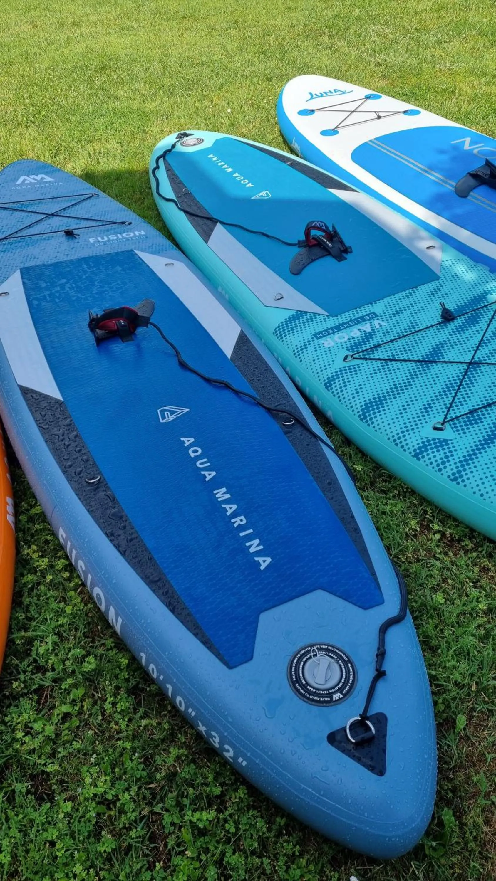 Activities in Hotel Zlatna Vala