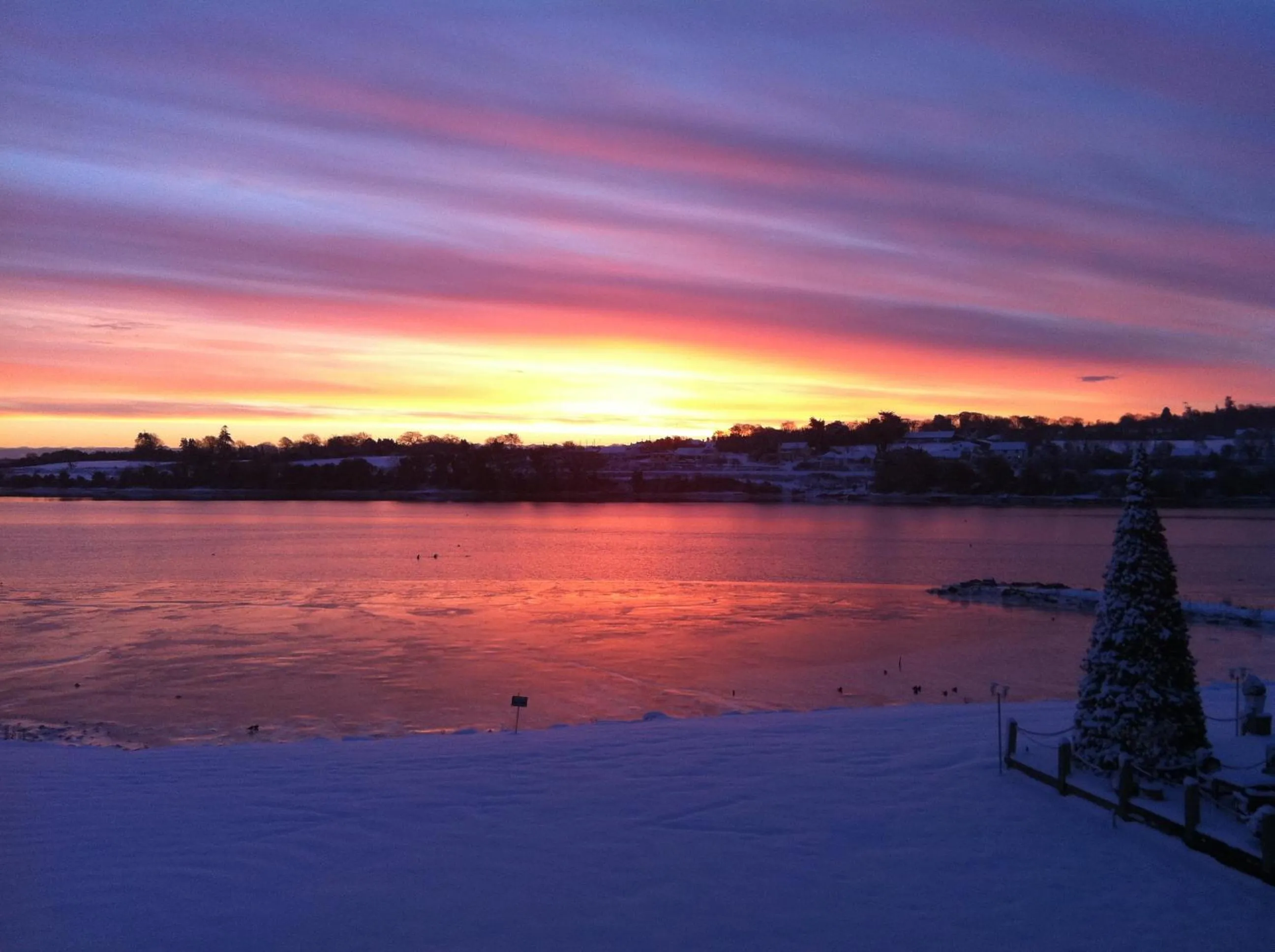 Area and facilities in Ferrycarrig Hotel
