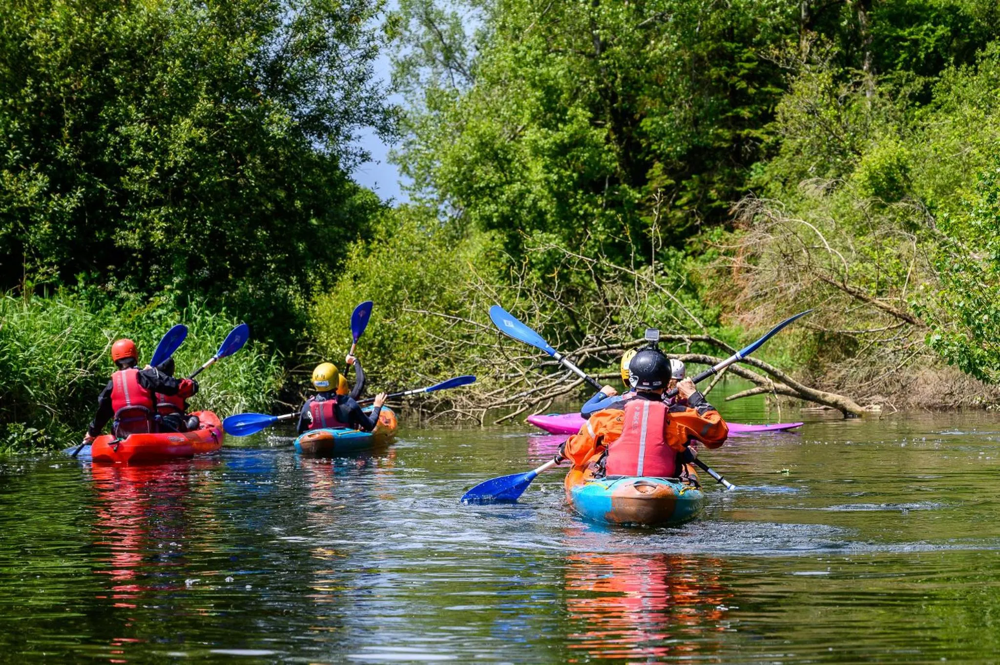 Activities in Ferrycarrig Hotel
