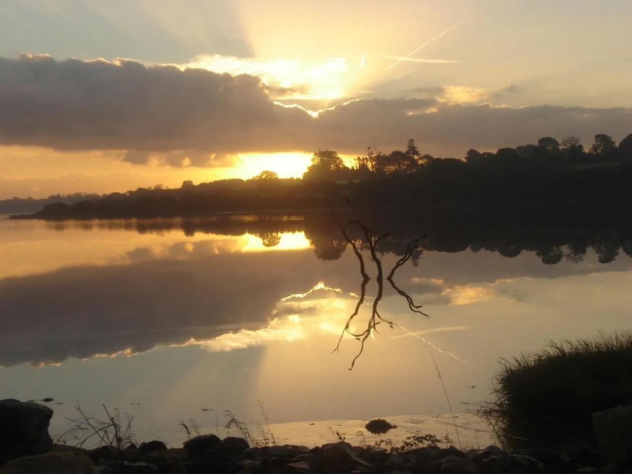 Area and facilities in Ferrycarrig Hotel