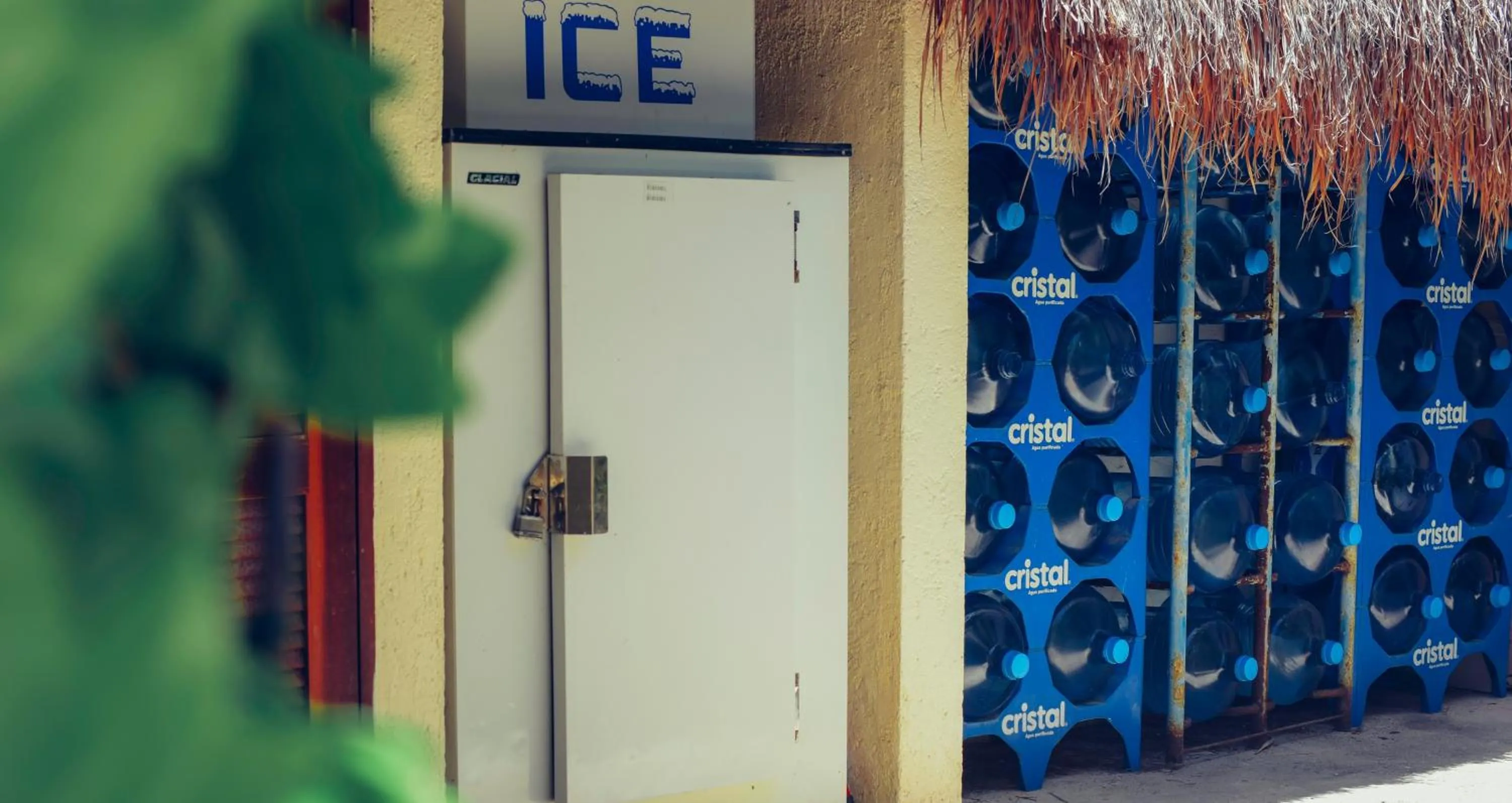 Area and facilities in Aquatech Villas DeRosa Resort