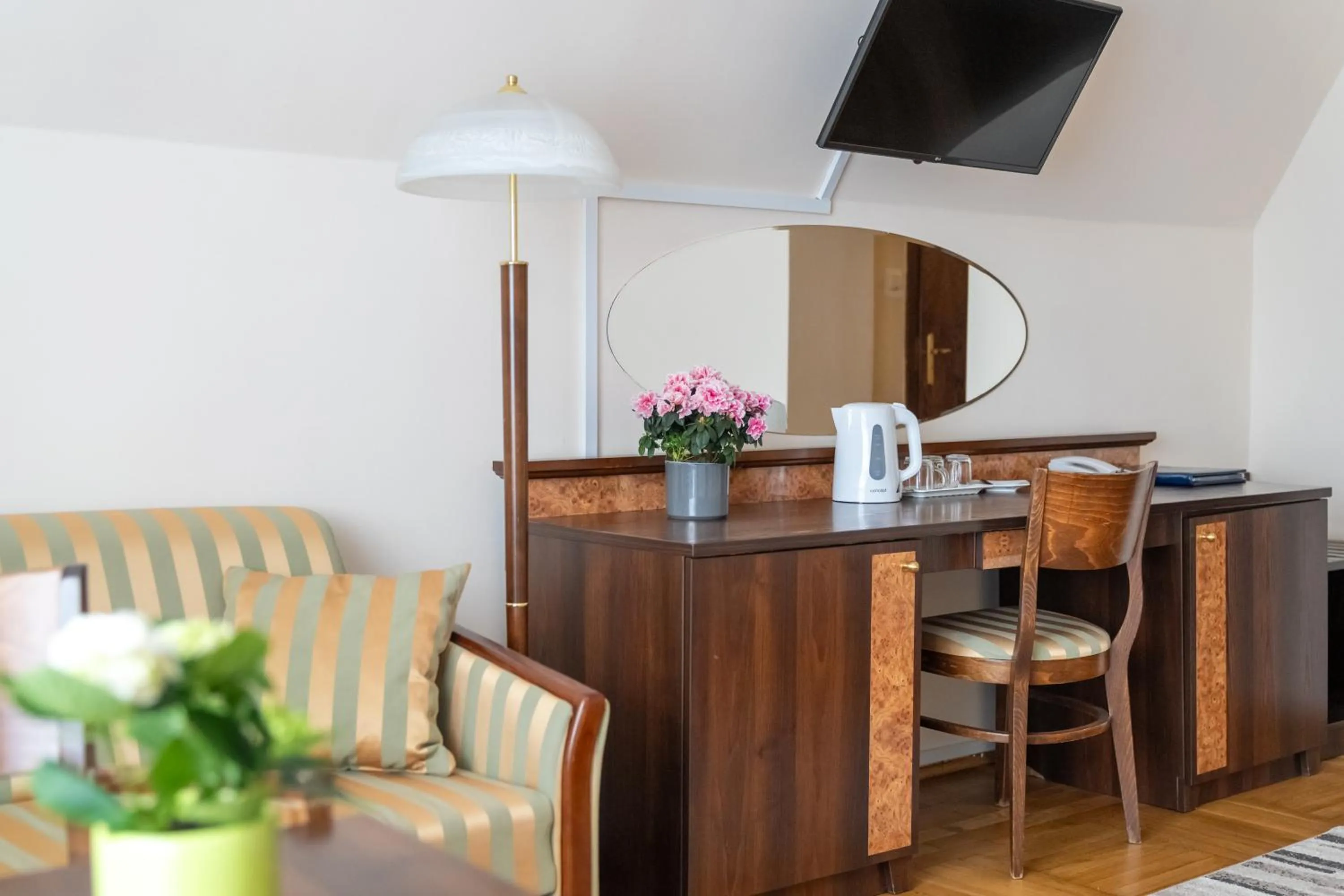 TV and multimedia in Zespół Dolina Białego - Willa Pan Tadeusz