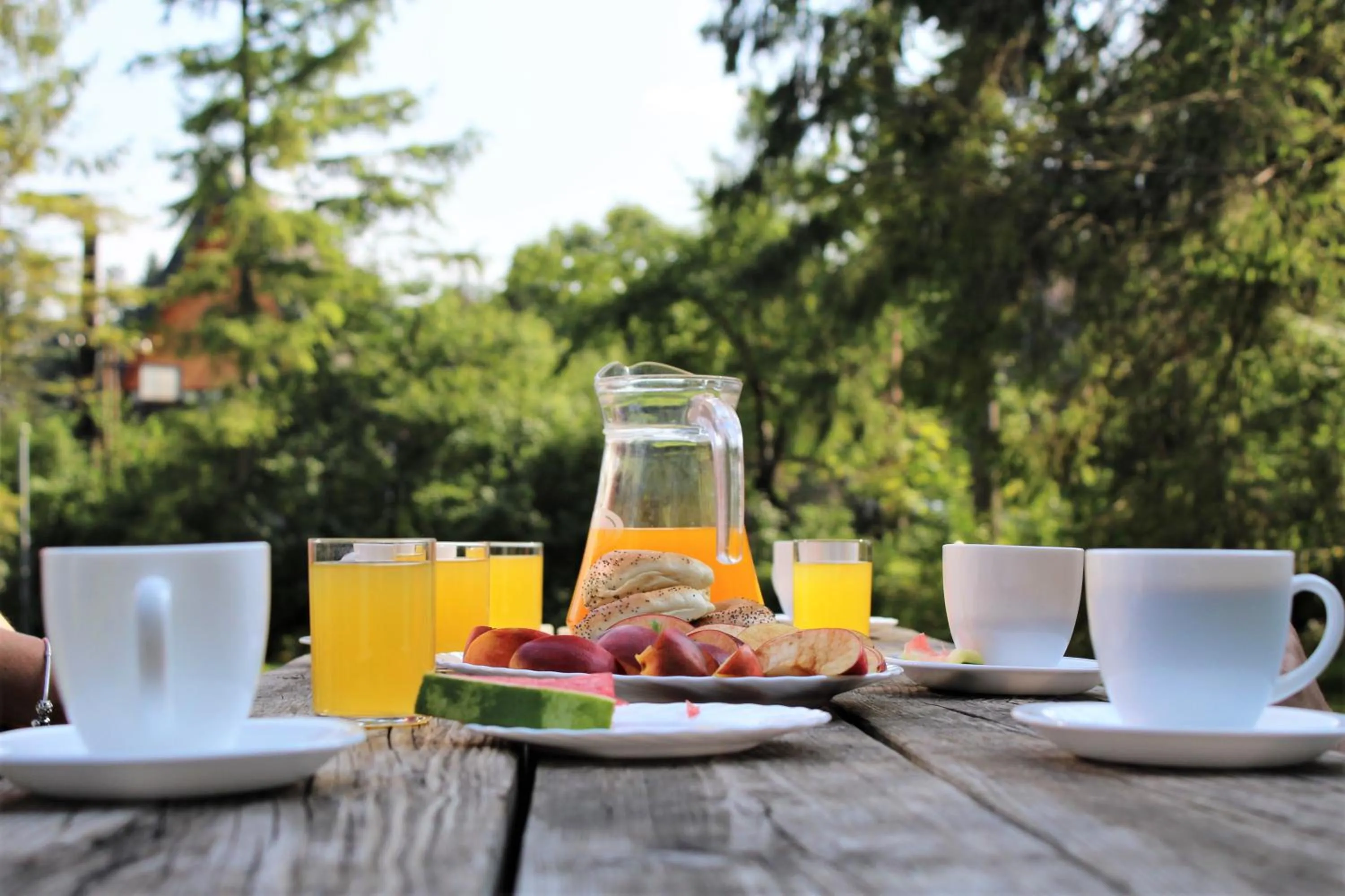 Day in Zespół Dolina Białego - Willa Pan Tadeusz