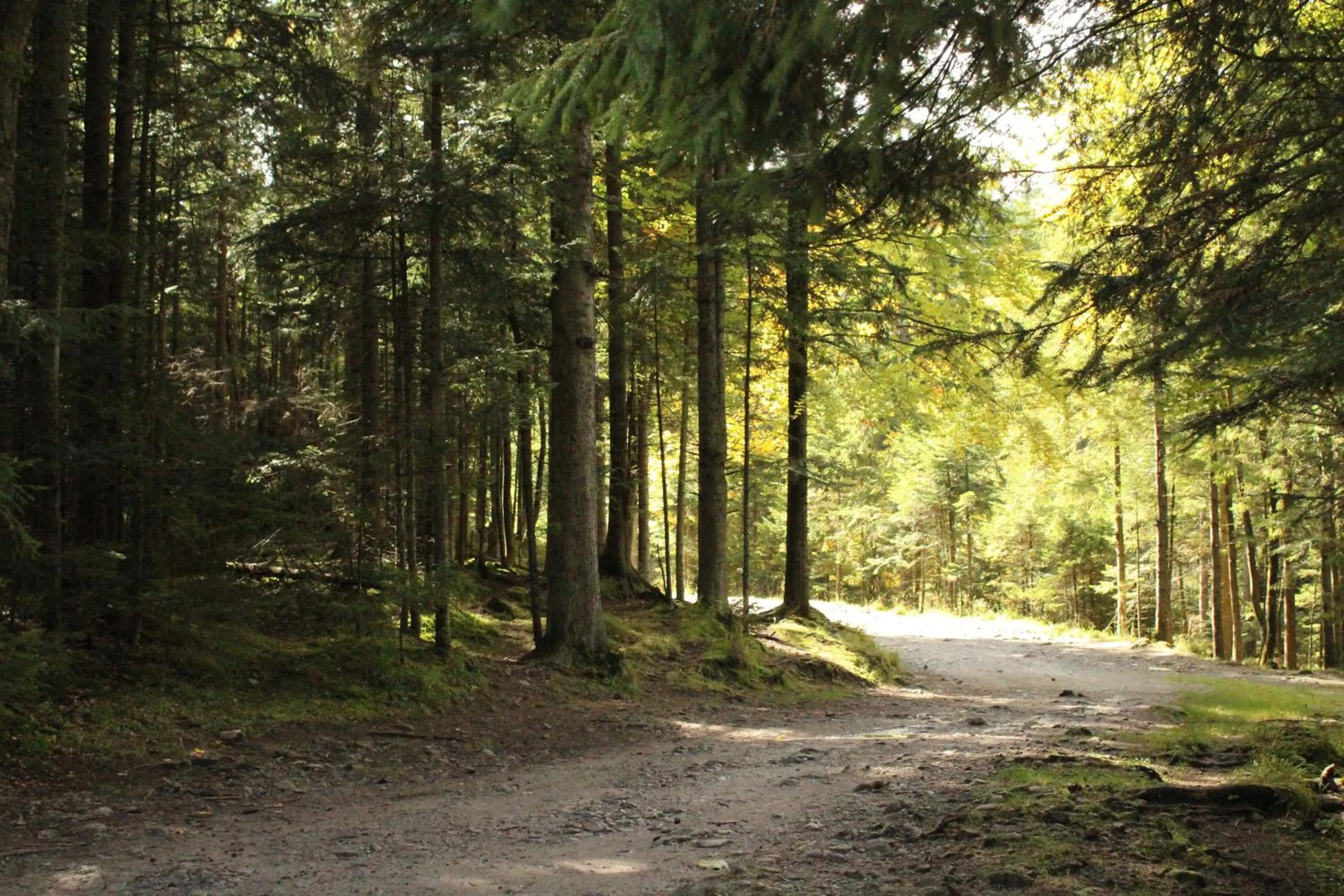 Nearby landmark in Zespół Dolina Białego - Pensjonat Telimena