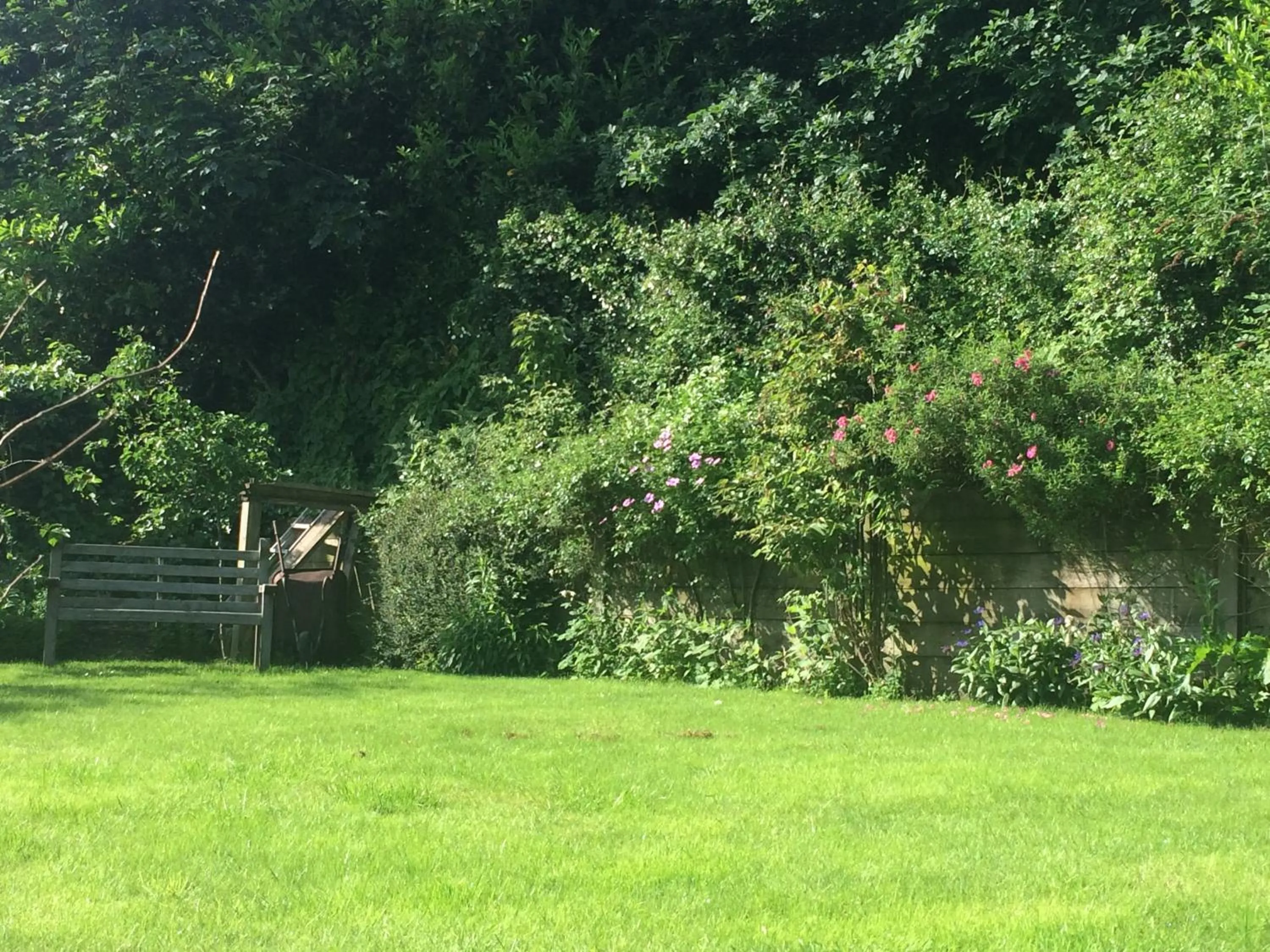 Garden in Ashbury Bed & Breakfast