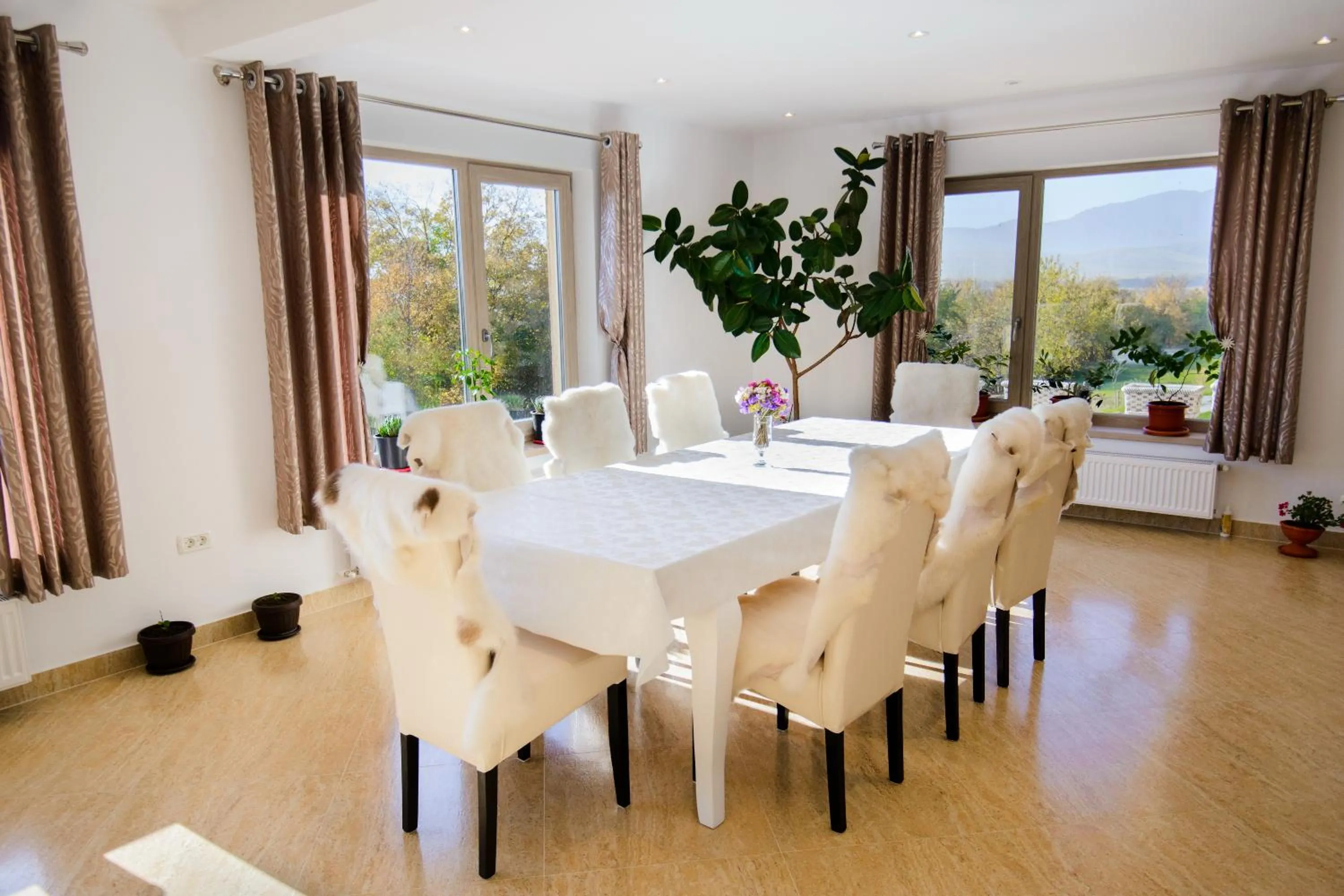 Dining area in Dumbrava Ursului