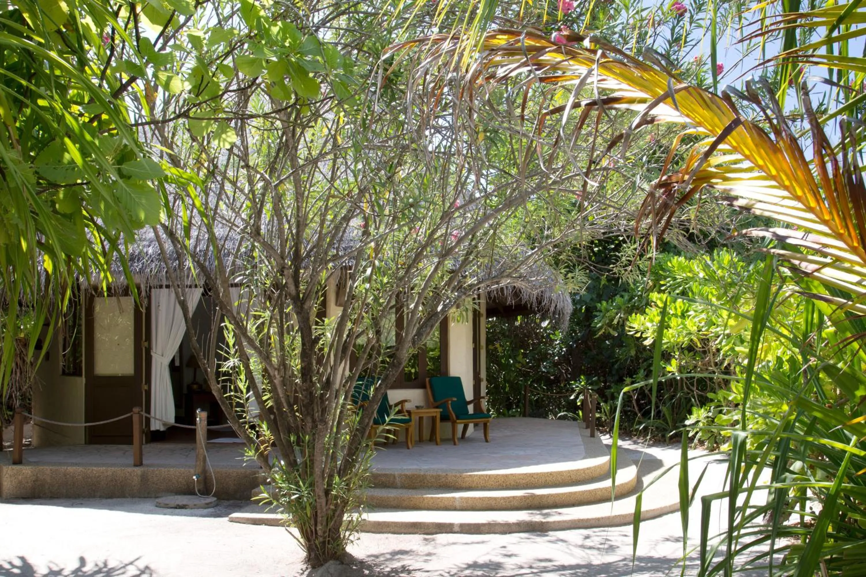 Garden view in Coco Palm Dhuni Kolhu